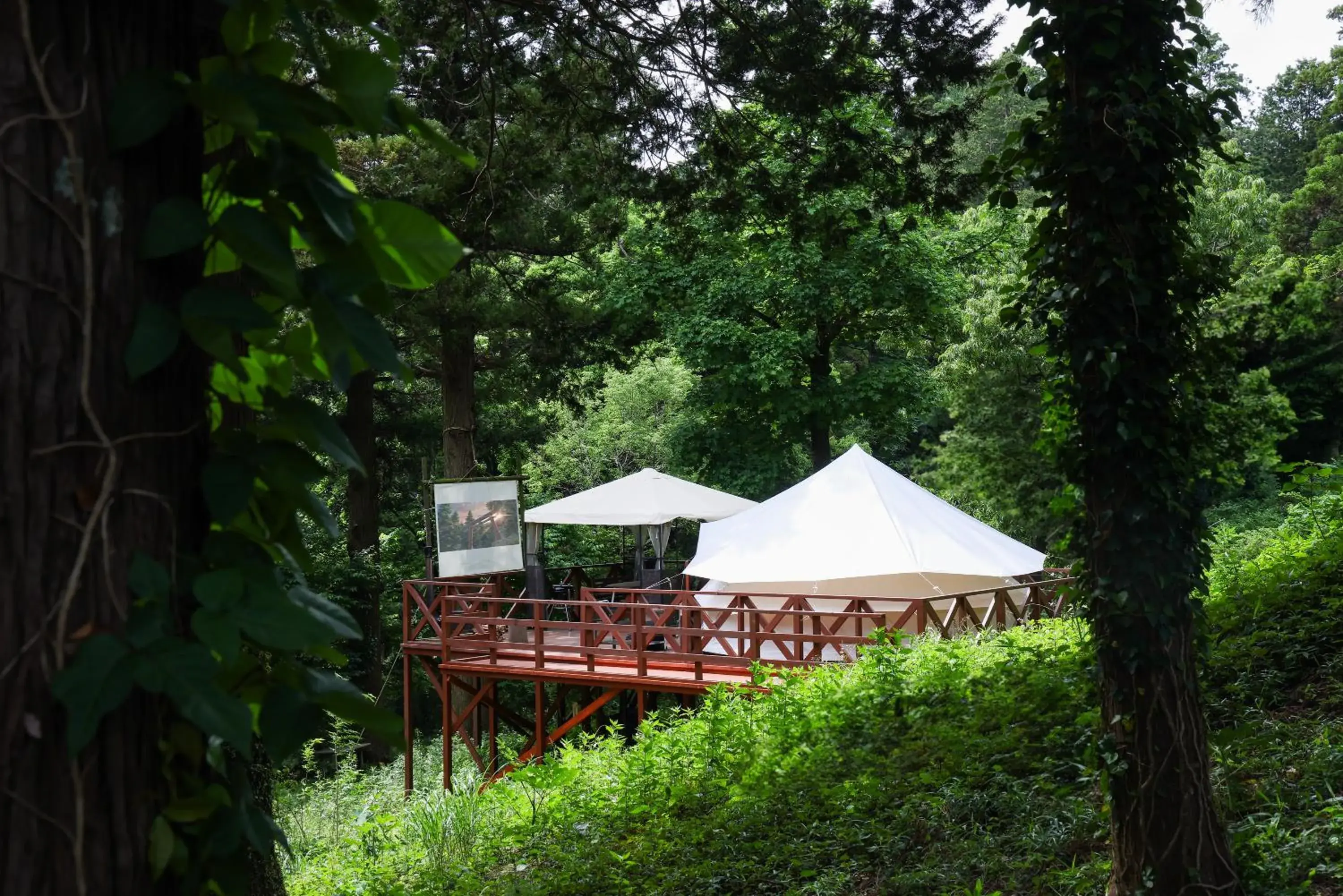 Glamping Forest in THE FARM Resort Japan Glamping Forest in THE FARM Resort Japan