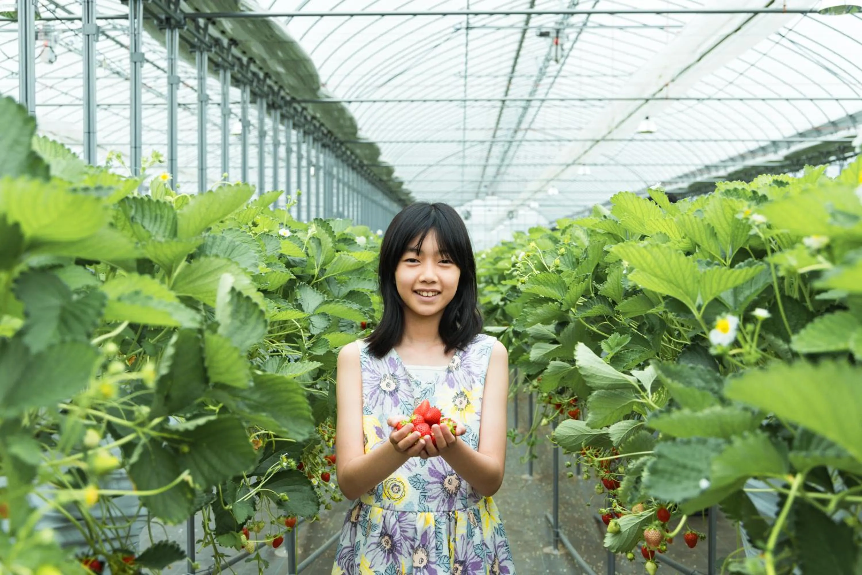 Activities in THE FARM Resort Japan