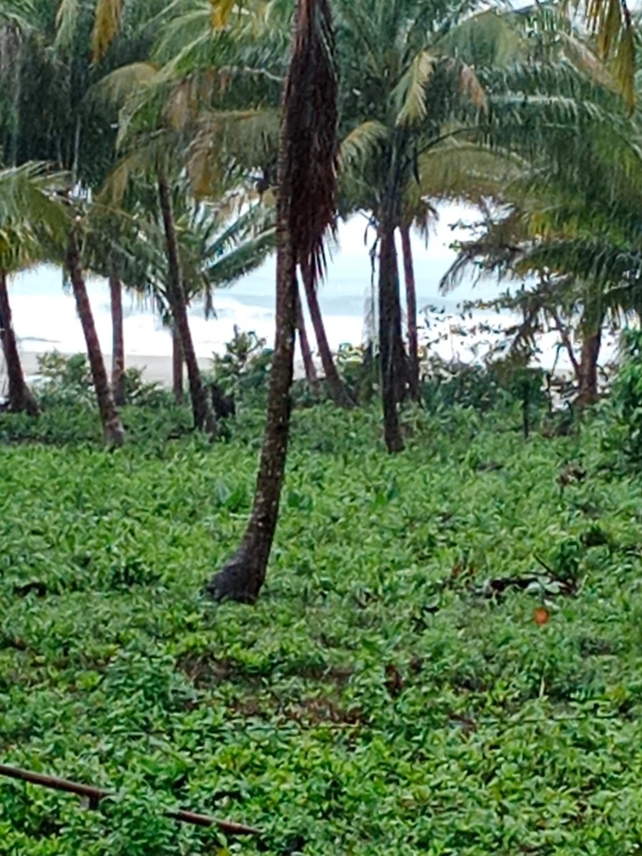 Dining area in Rumah Nalu surf camp