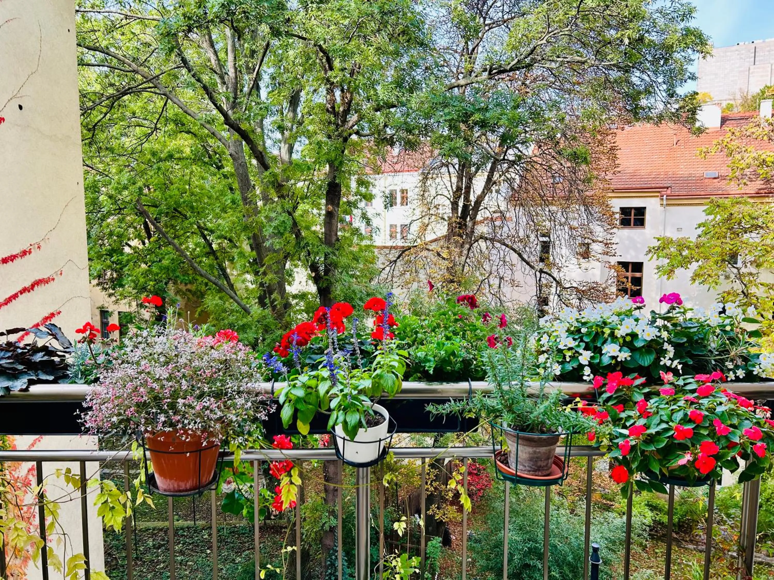 Day in Green balcony & king size bed
