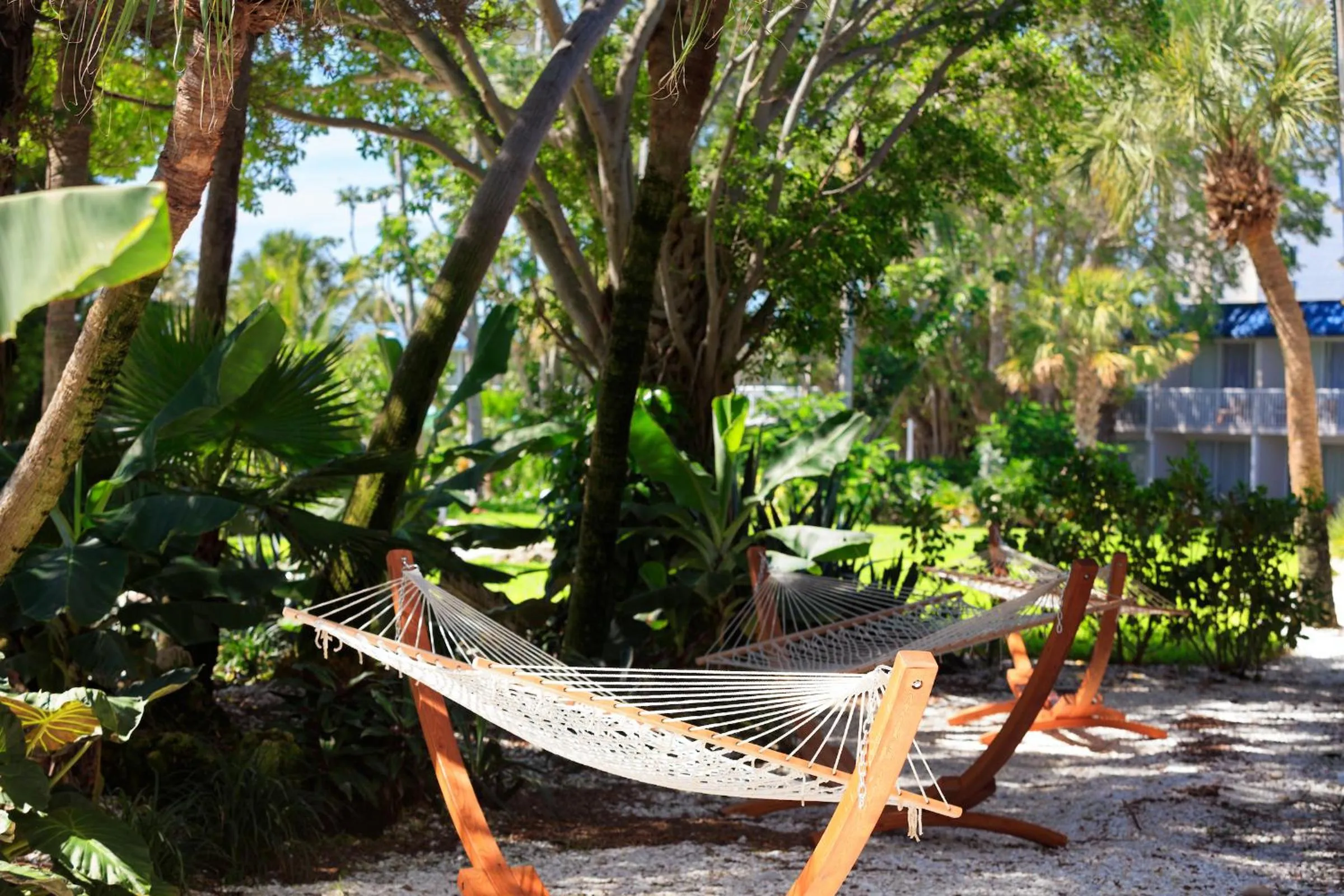 Garden in SkyBeach Resort