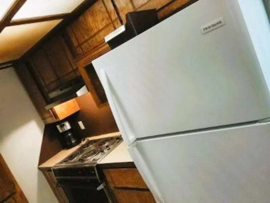 Kitchen or kitchenette in Golden Sunflower's Apt B
