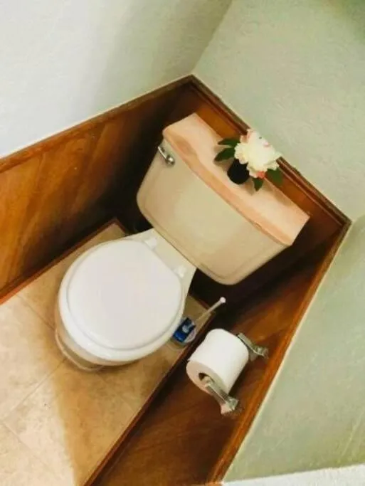 Golden Sunflower's Apt B