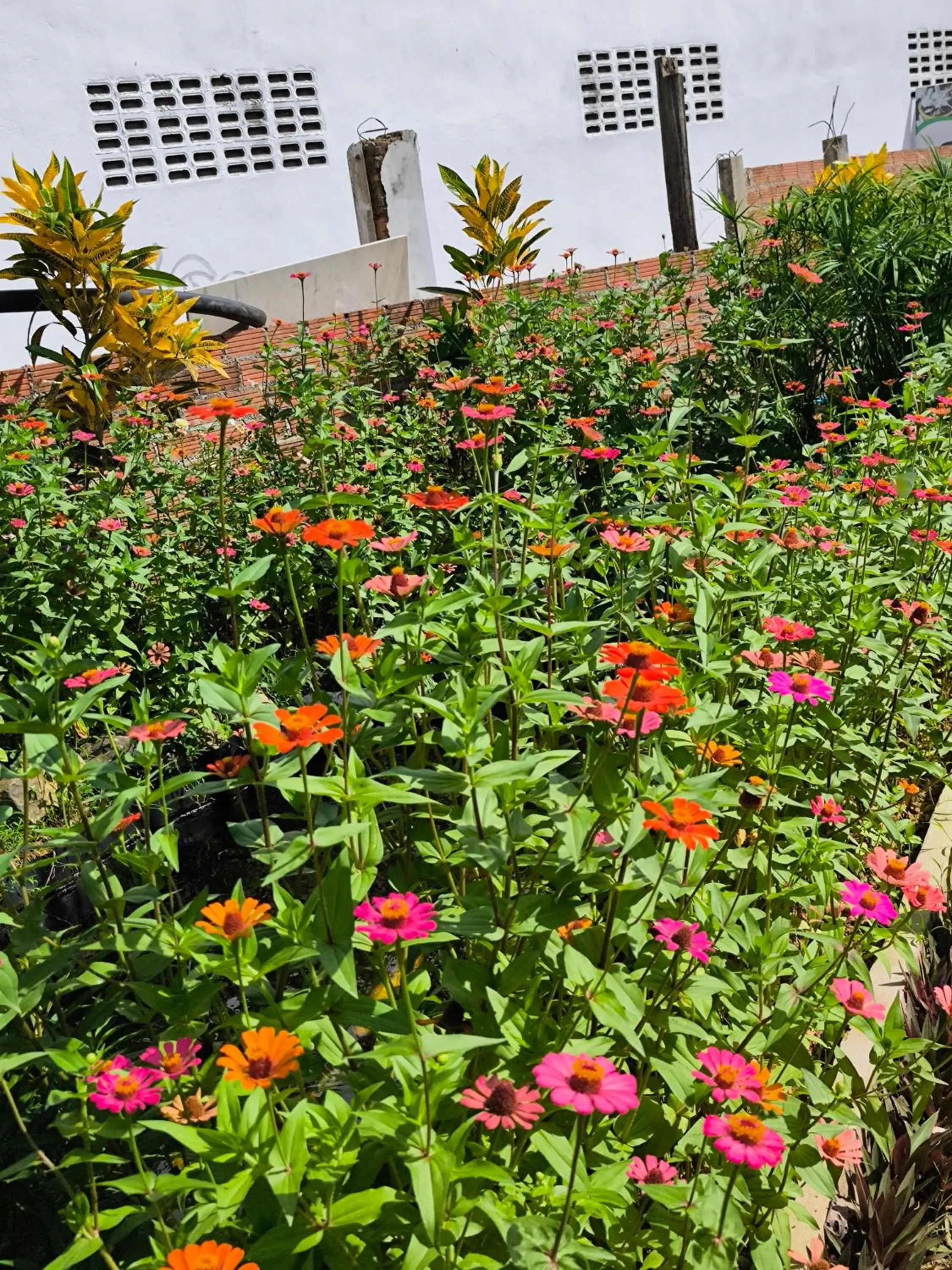 Vang Vieng Champa Resort