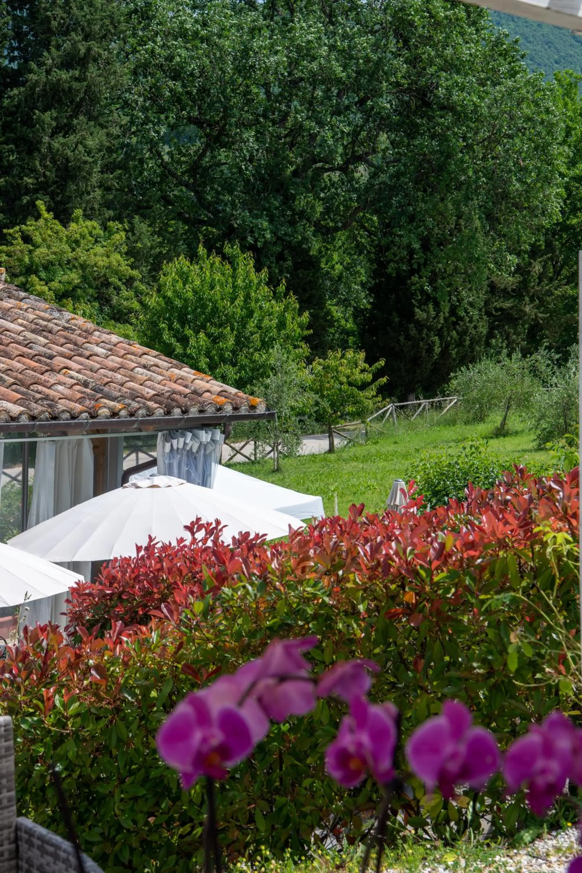 Garden in Casa Grimaldi Hotel & Restaurant tre stelle S