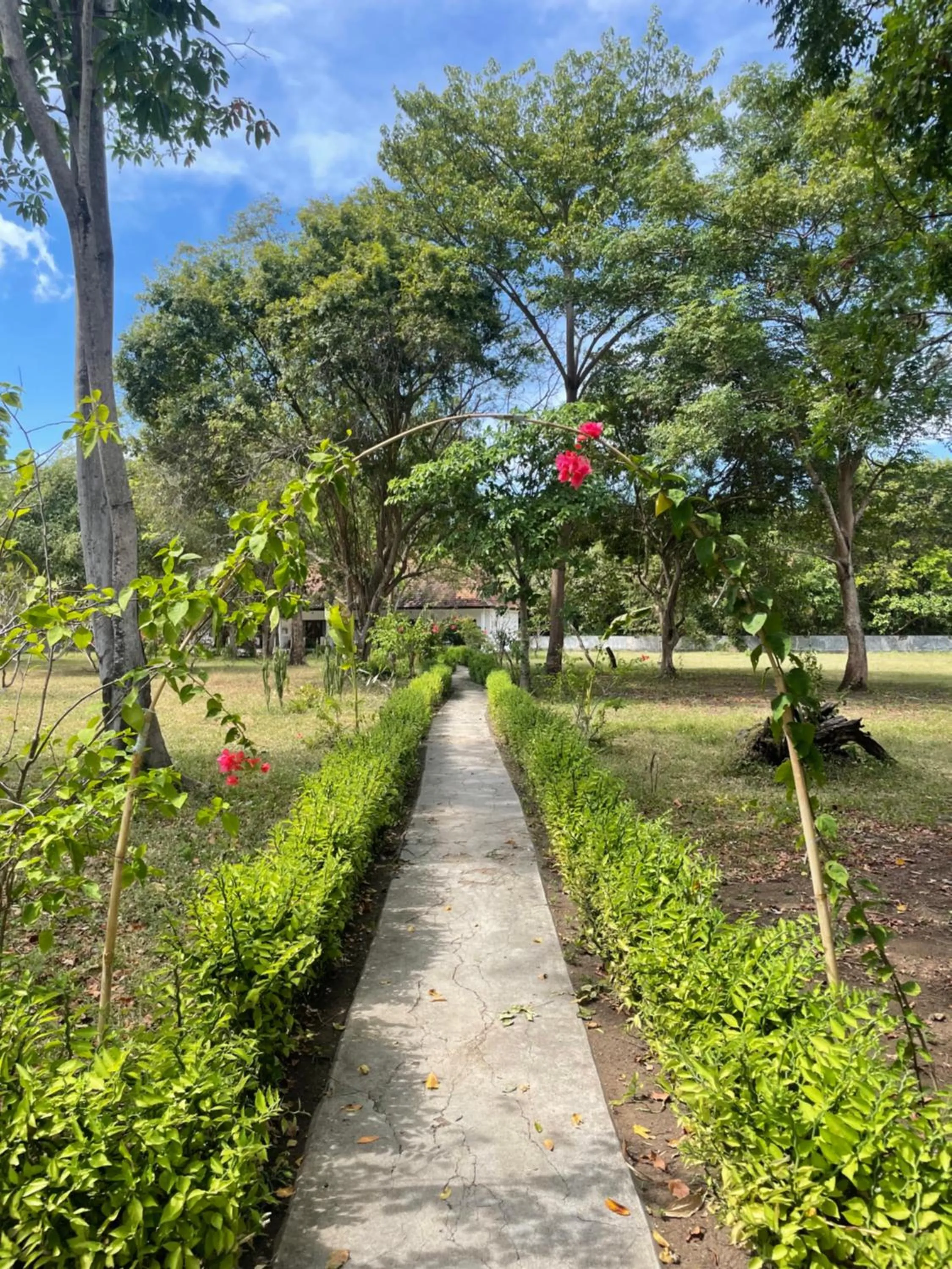 Garden in Blue EmOcean Dive Resort