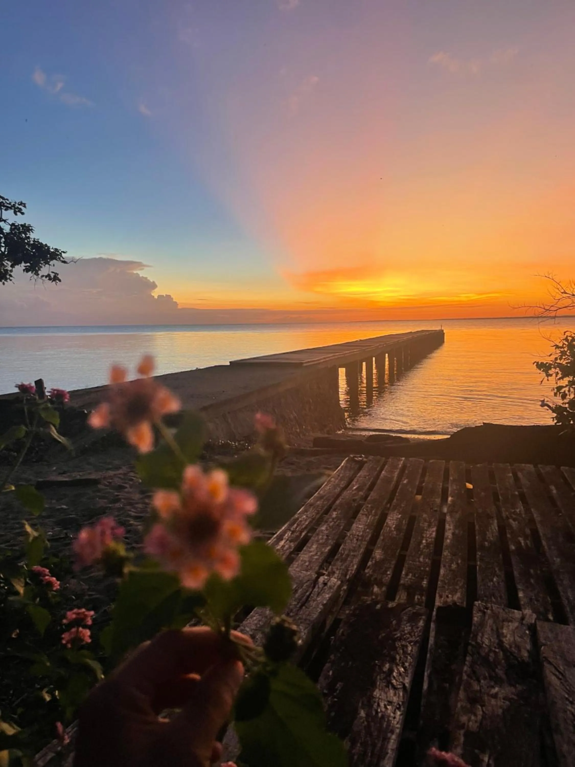 Sea view in Blue EmOcean Dive Resort