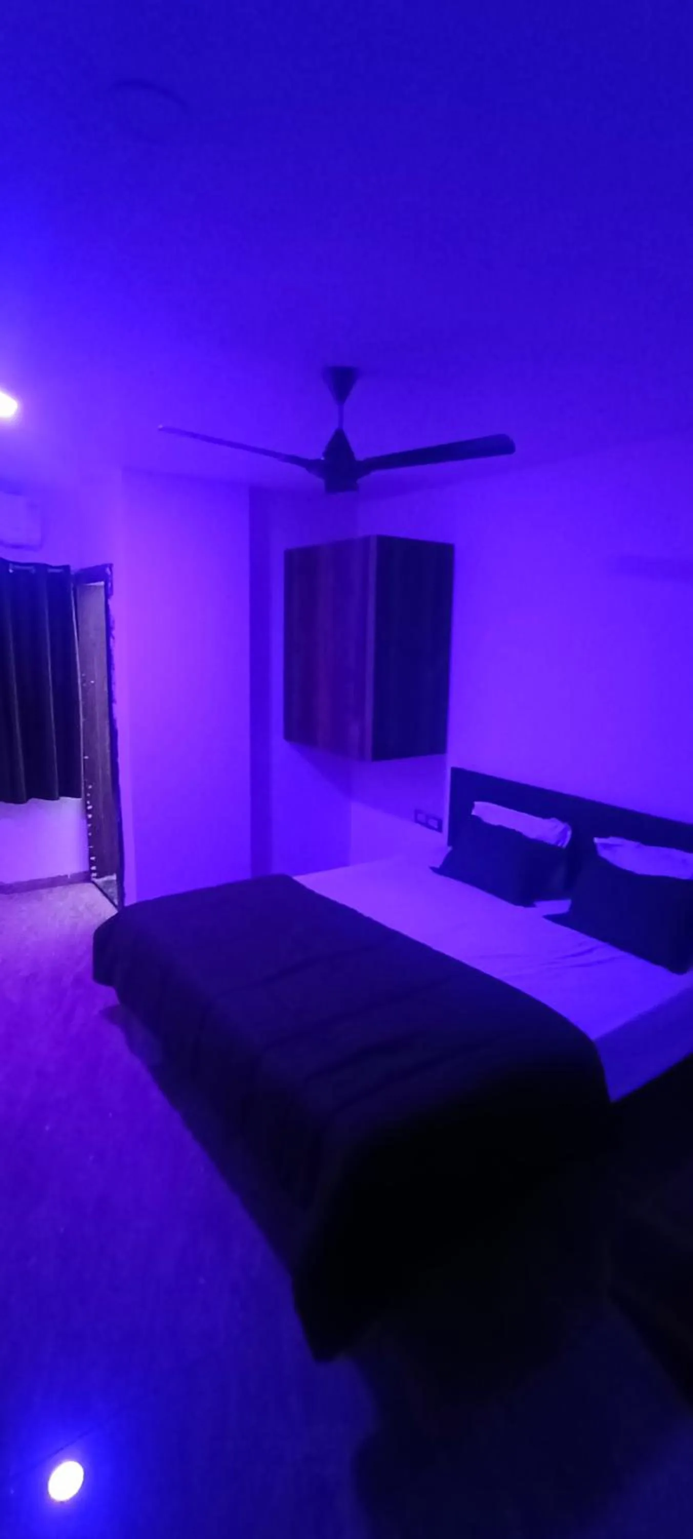 Bed in Hotel Kiwi Inn