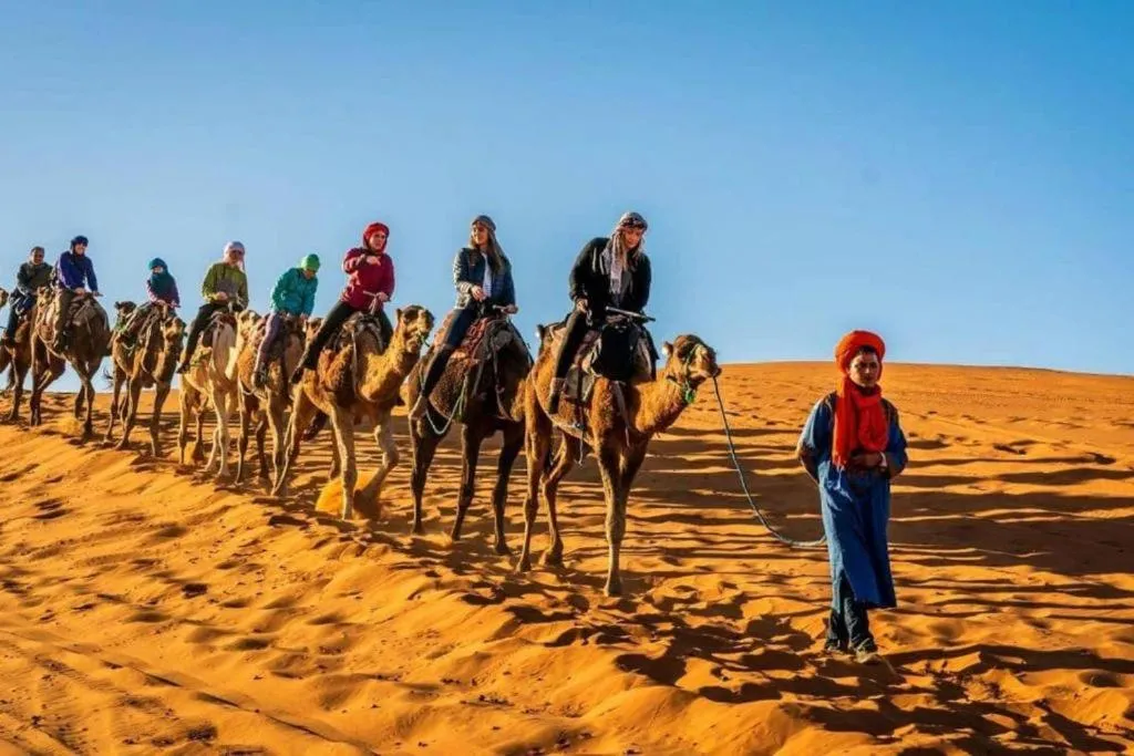 Camp Sahara Dunes
