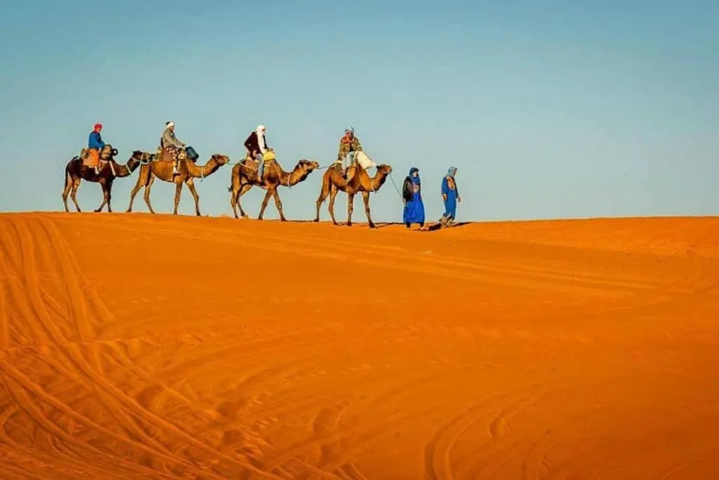 Camp Sahara Dunes