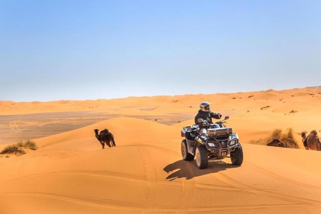 Camp Sahara Dunes