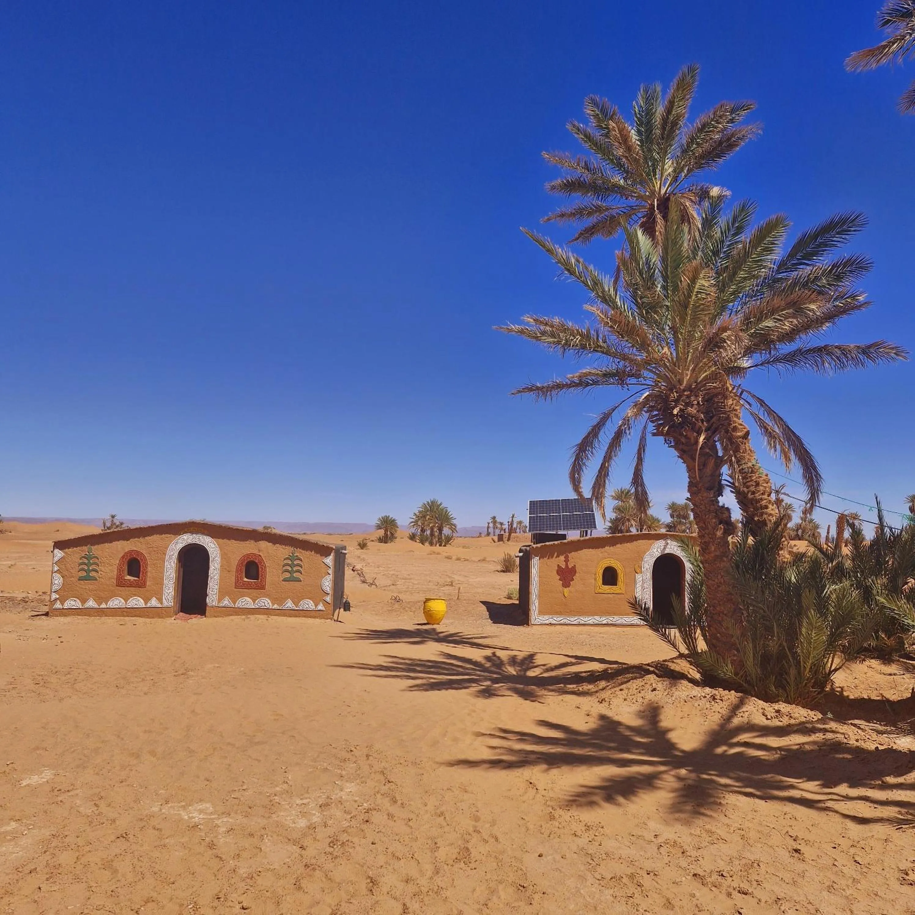 Camp Sahara Dunes