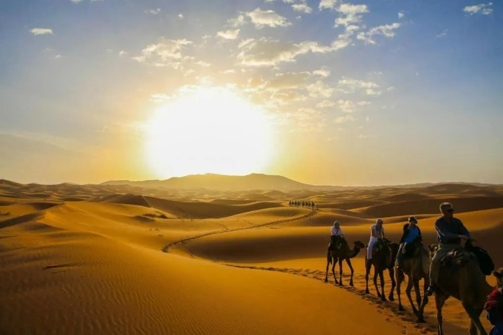 Camp Sahara Dunes