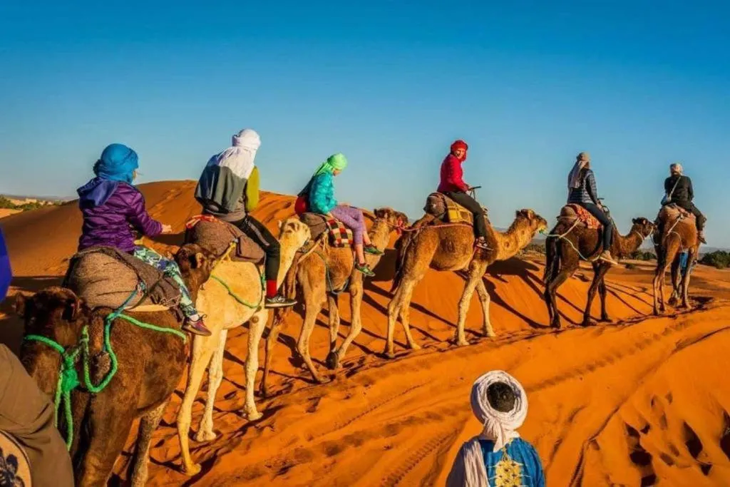 Camp Sahara Dunes
