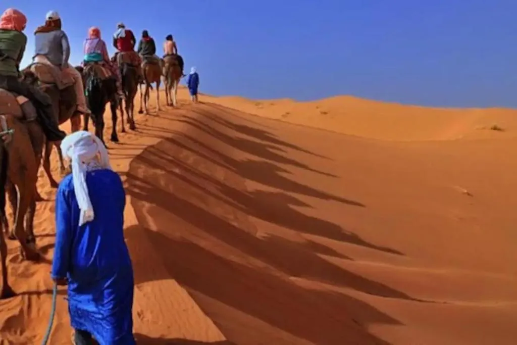 Camp Sahara Dunes