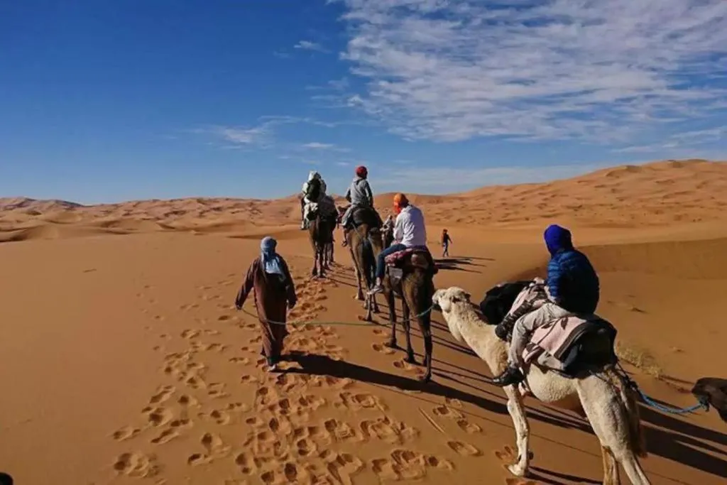Camp Sahara Dunes