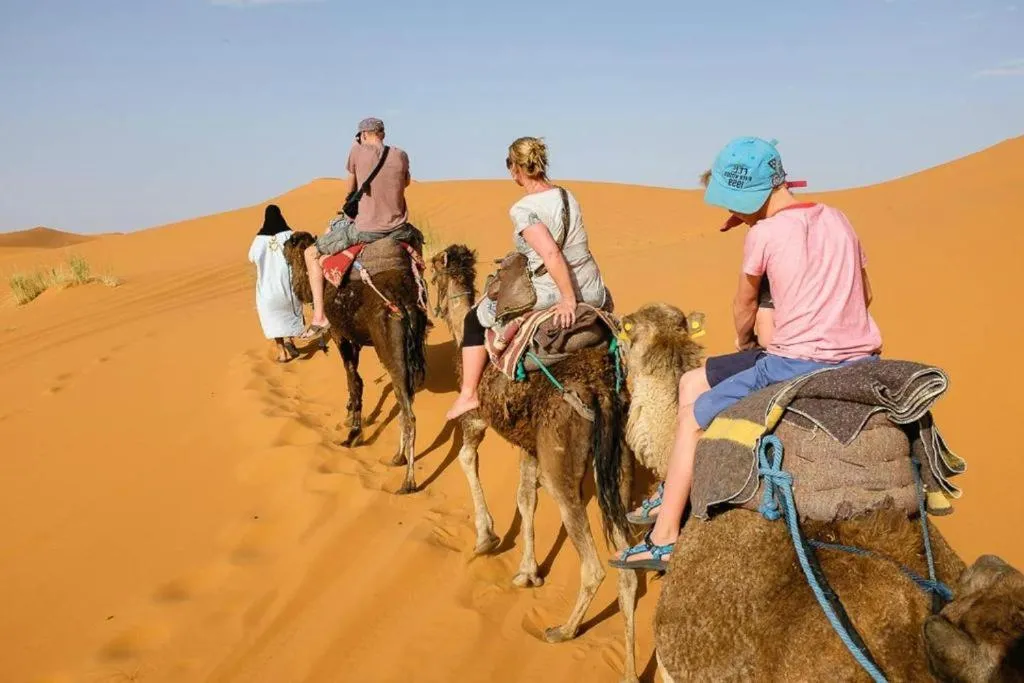 Camp Sahara Dunes