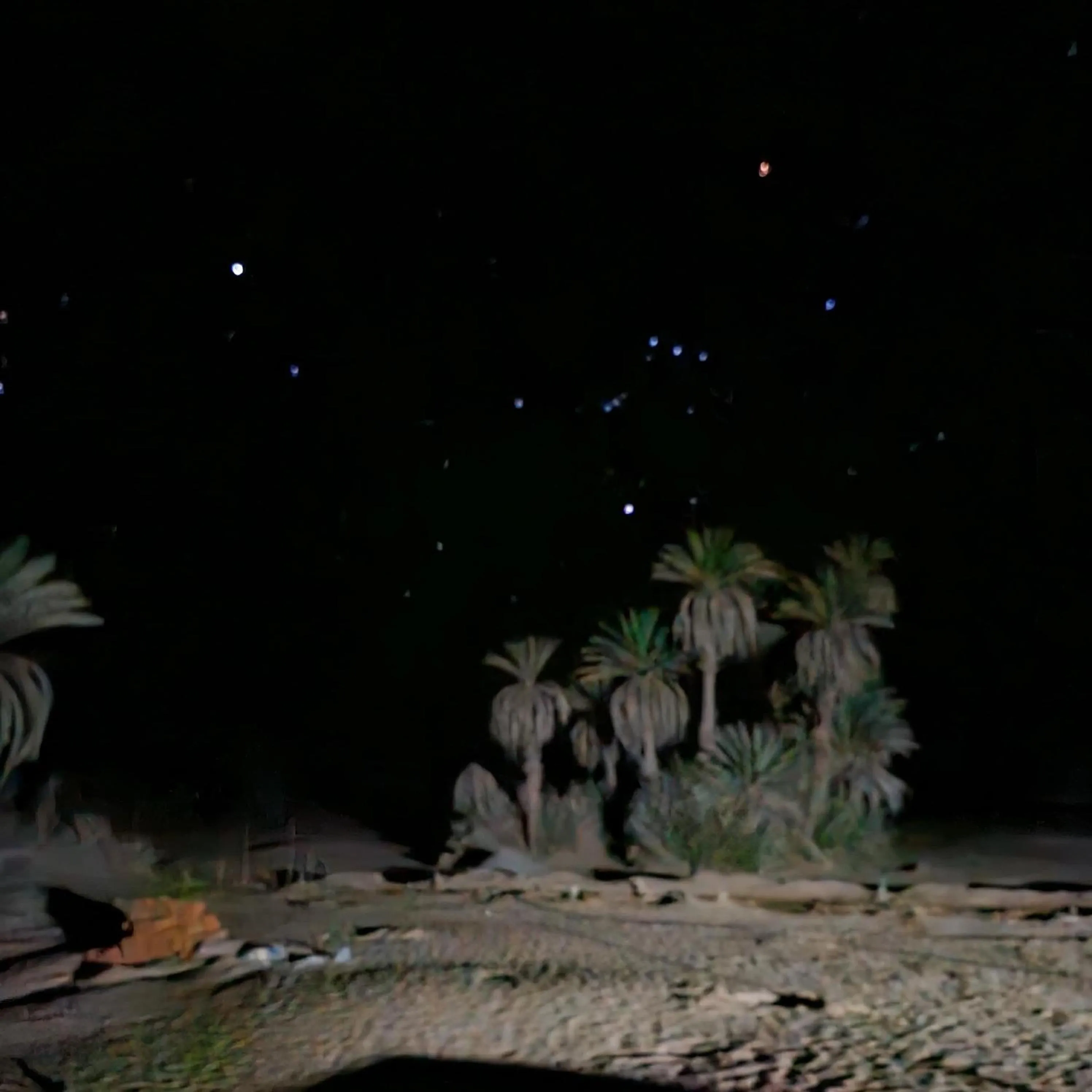 Camp Sahara Dunes