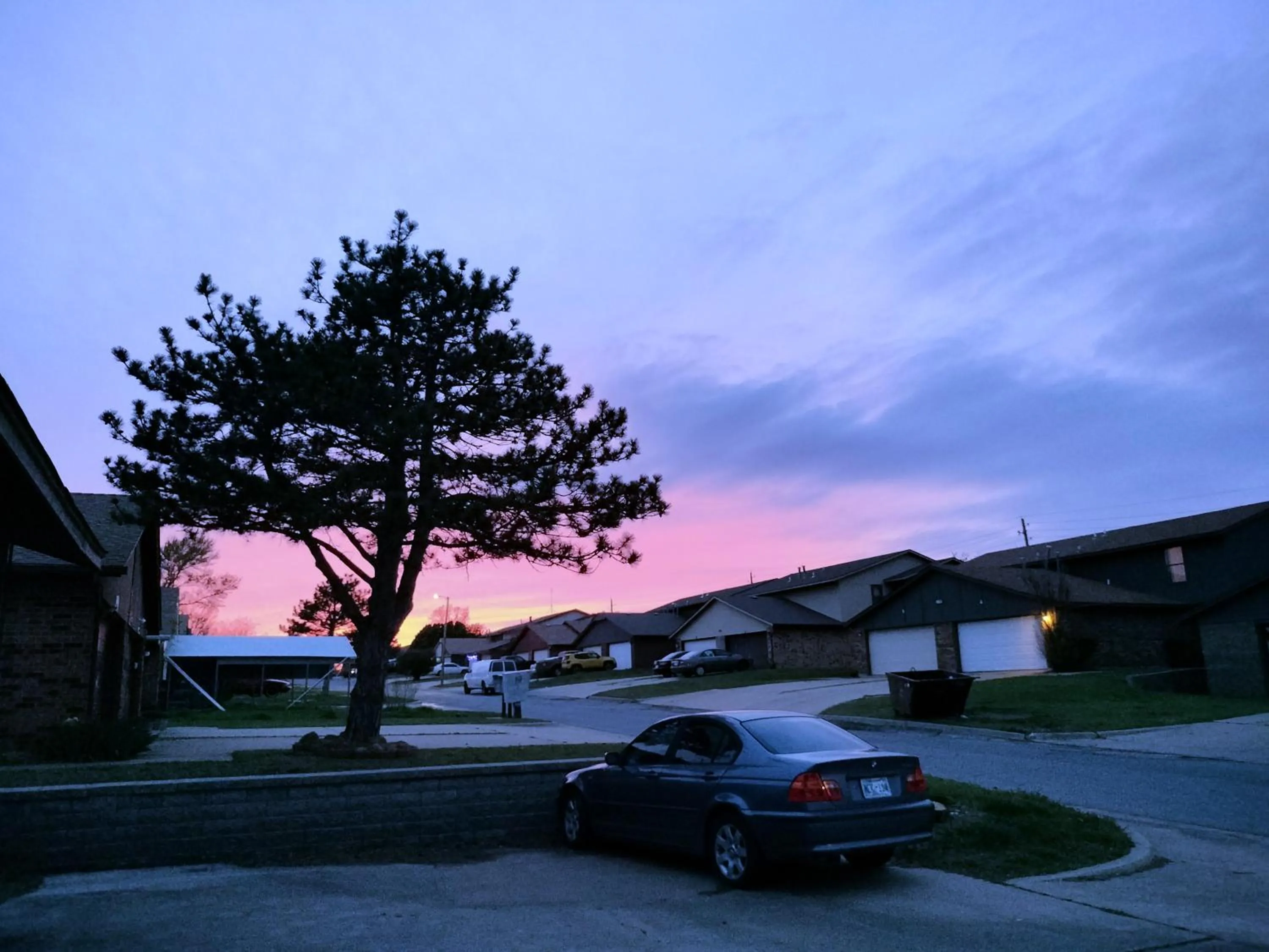 Golden Sunflower's Apt D