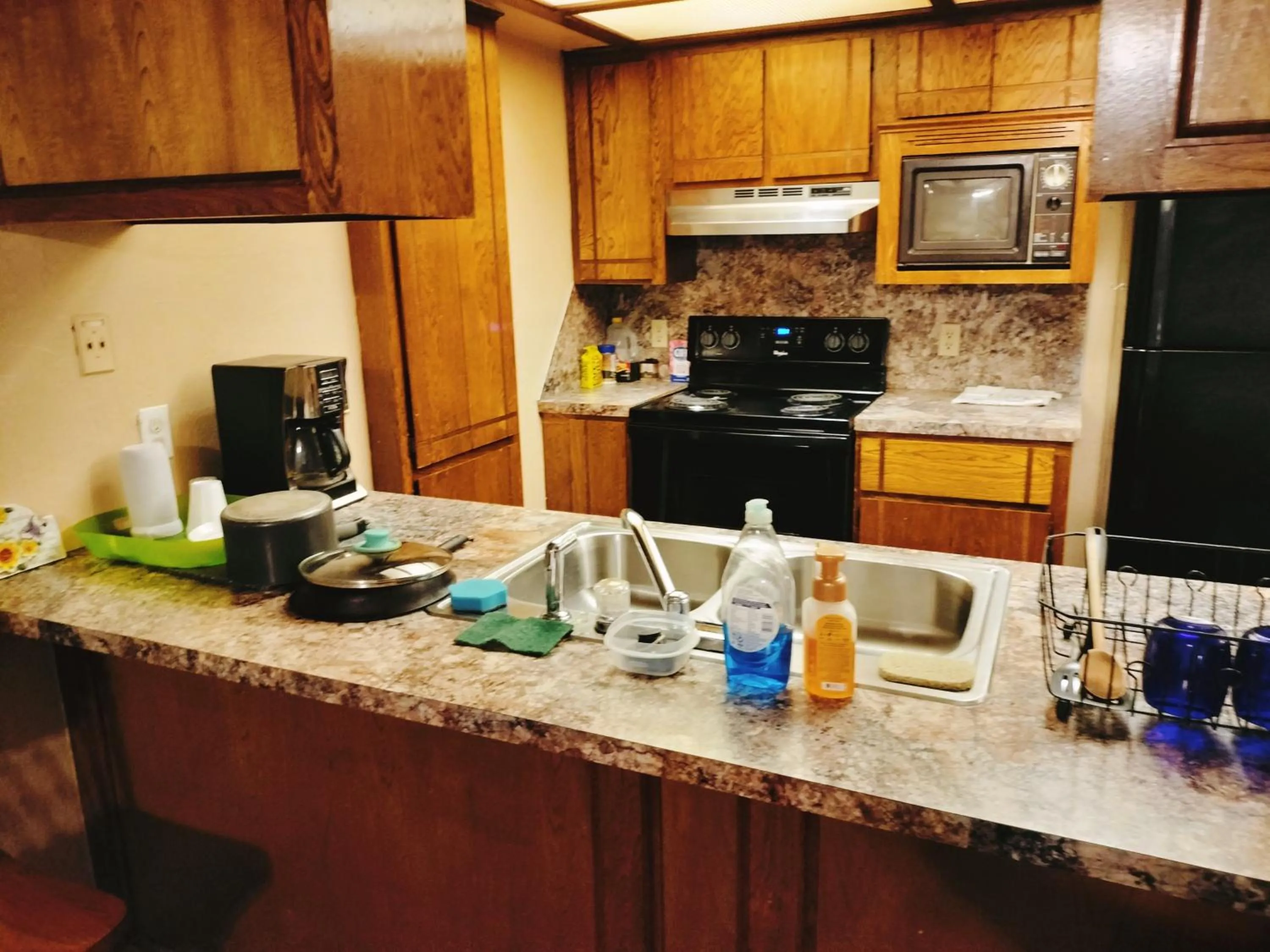 Golden Sunflower's Apt D