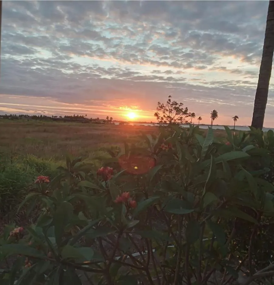Natural landscape in The Ideal Bed & Breakfast