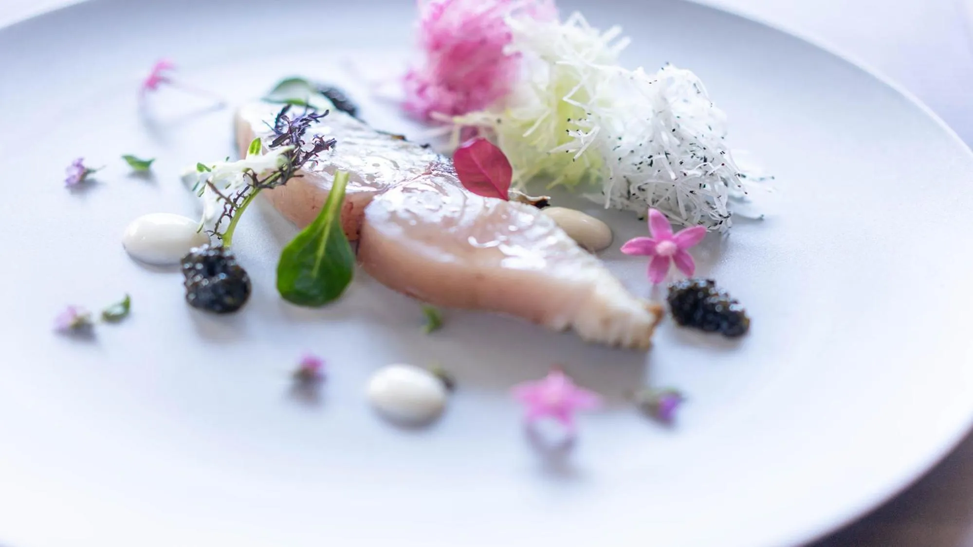 Dinner in Sengokubara COCON