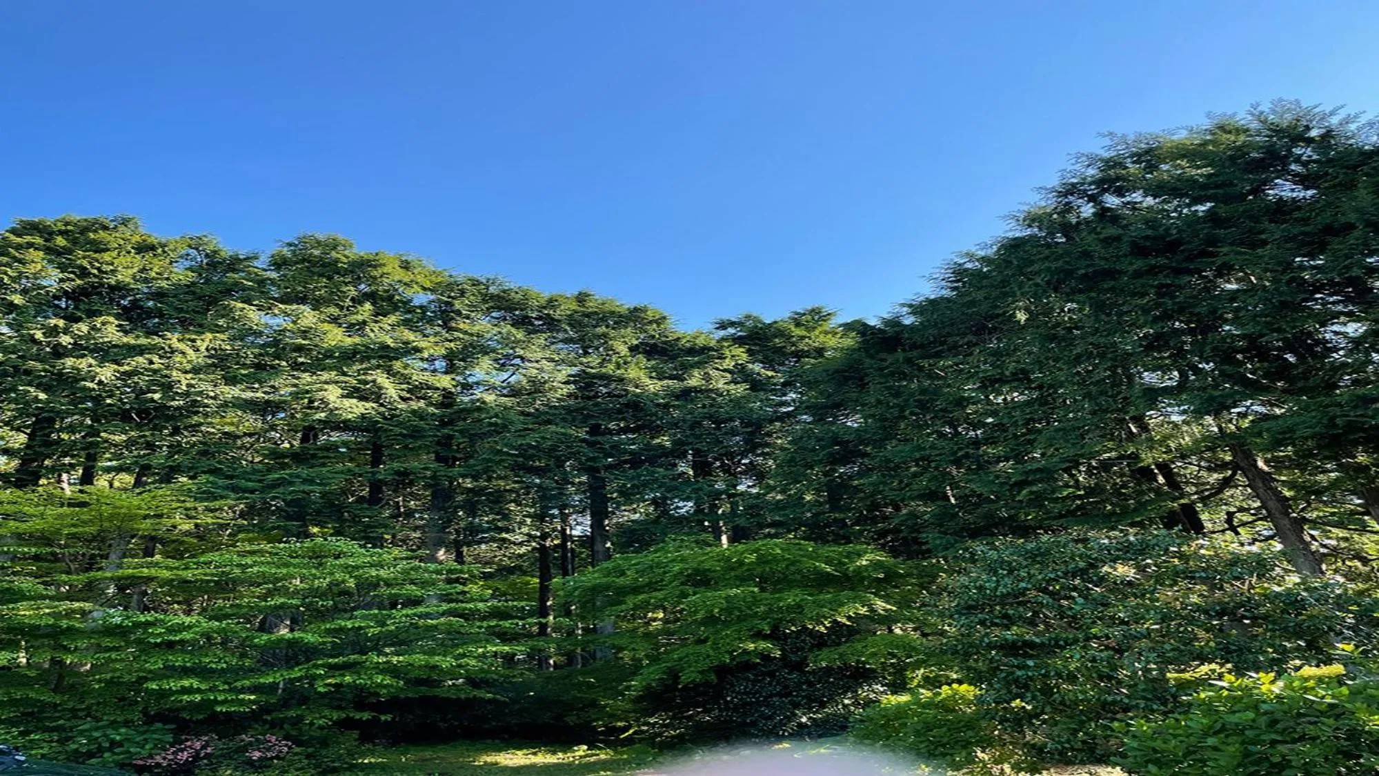 Off site in Sengokubara COCON