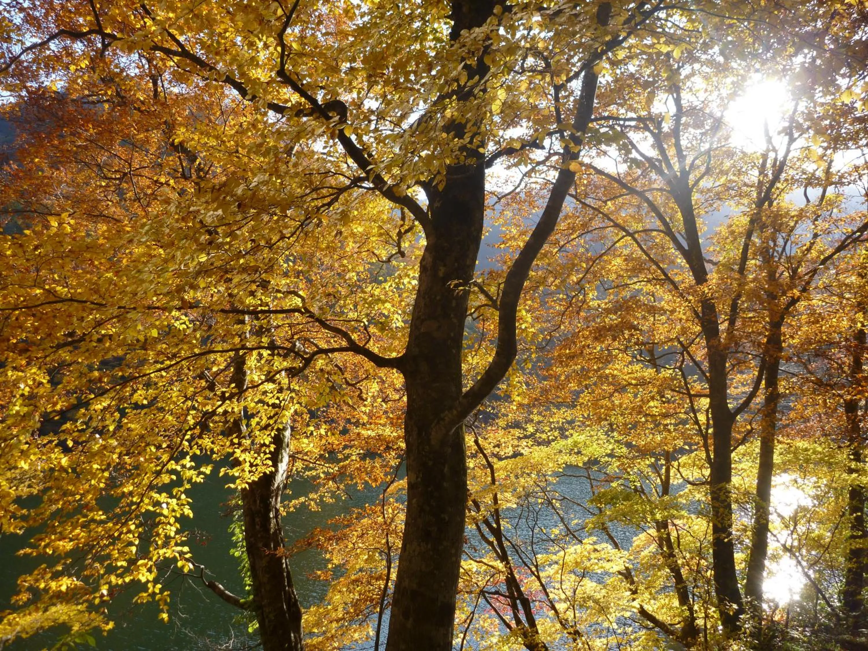 Nearby landmark in Awone Shirakami Juniko