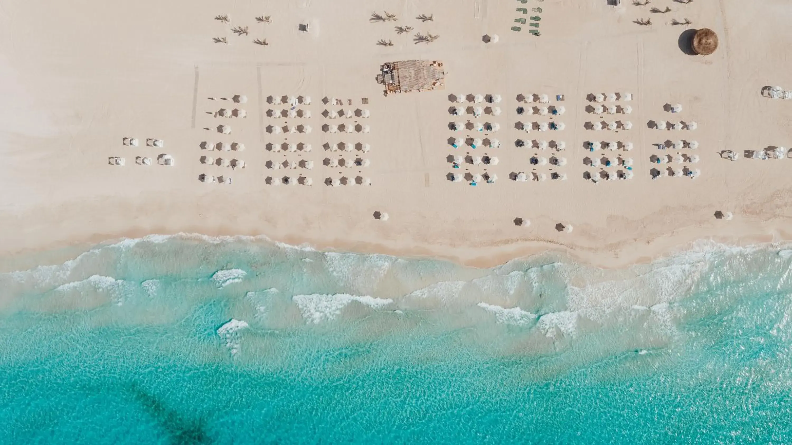 Cleopatra Sidi Heneish Cleopatra Sidi Heneish