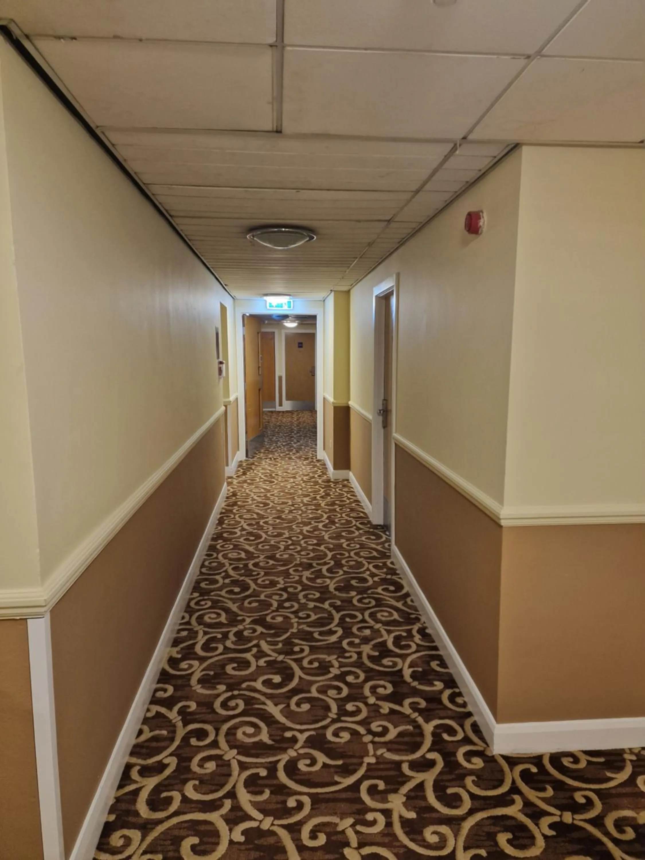 internet in Britannia Inn Glasgow