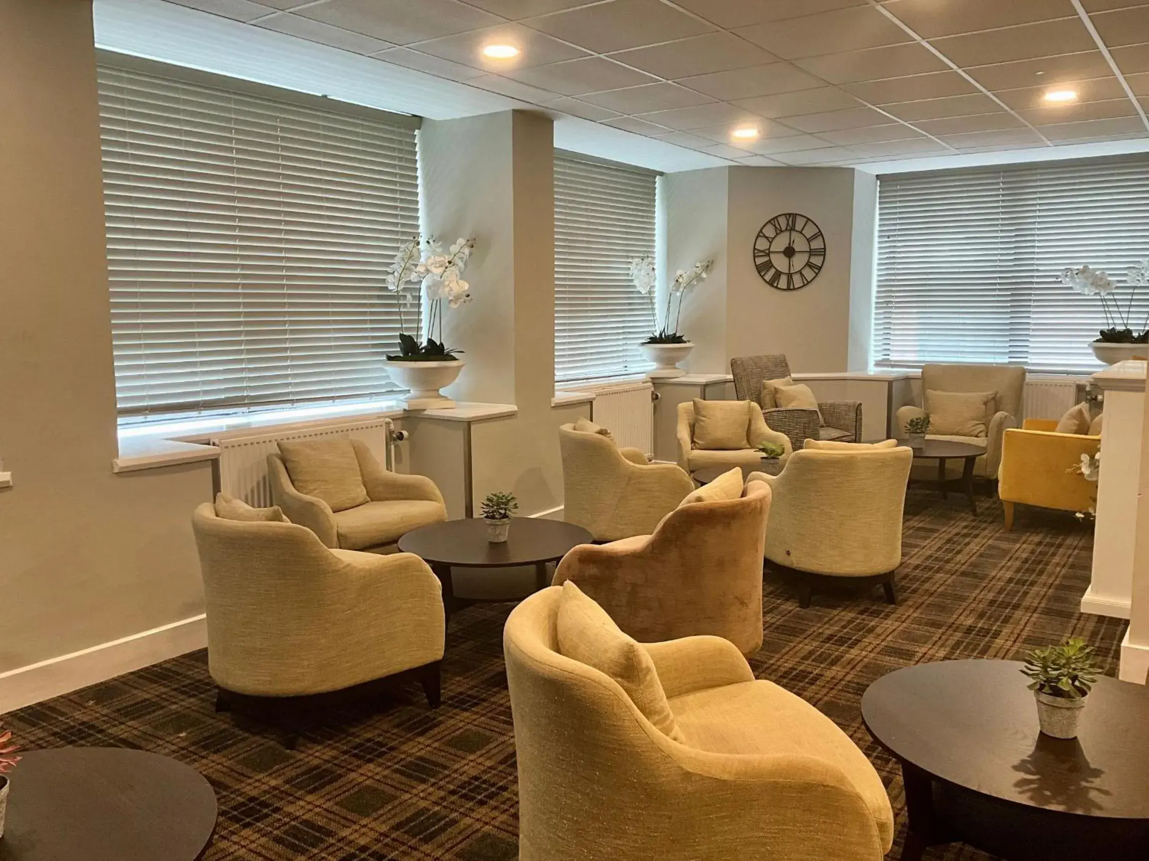 Lounge or bar in Britannia Inn Glasgow Lounge or bar in Britannia Inn Glasgow