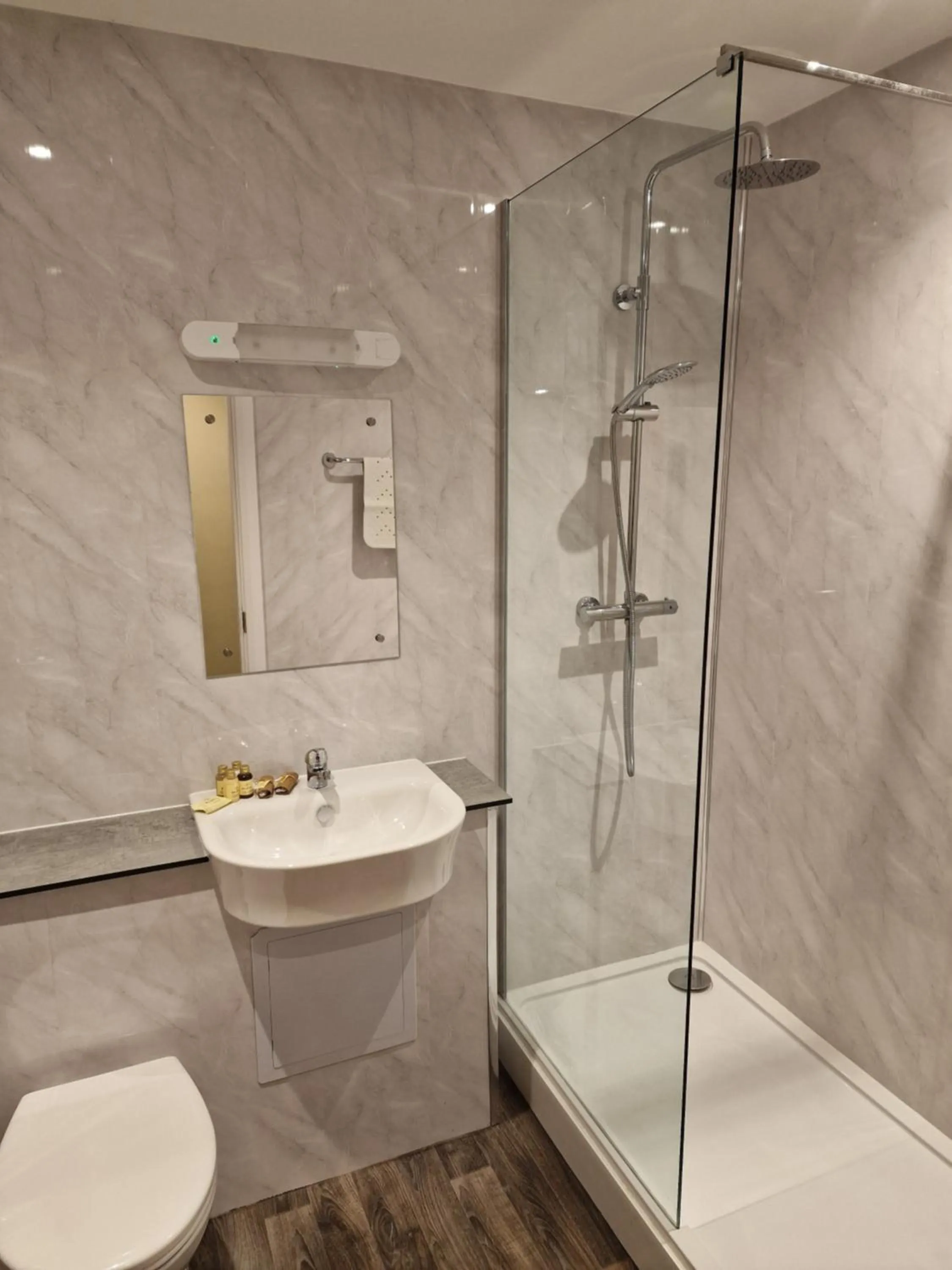 Toilet in Britannia Inn Glasgow