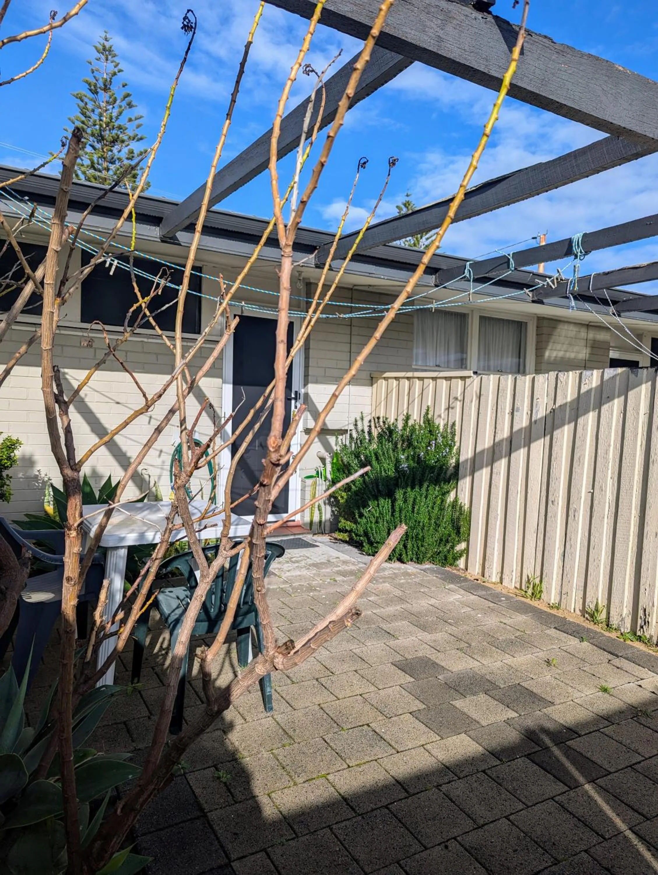 Inner courtyard view in Ocean Drive Motel