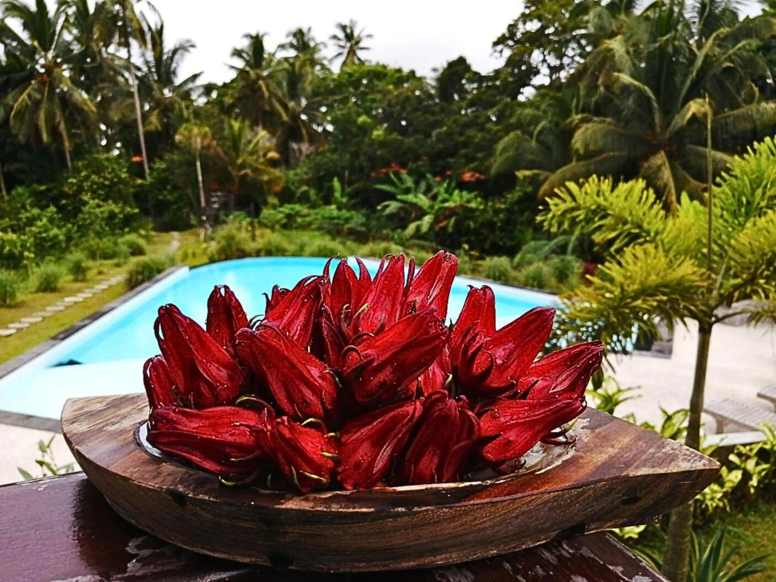 Dining area in Antagana Retreat