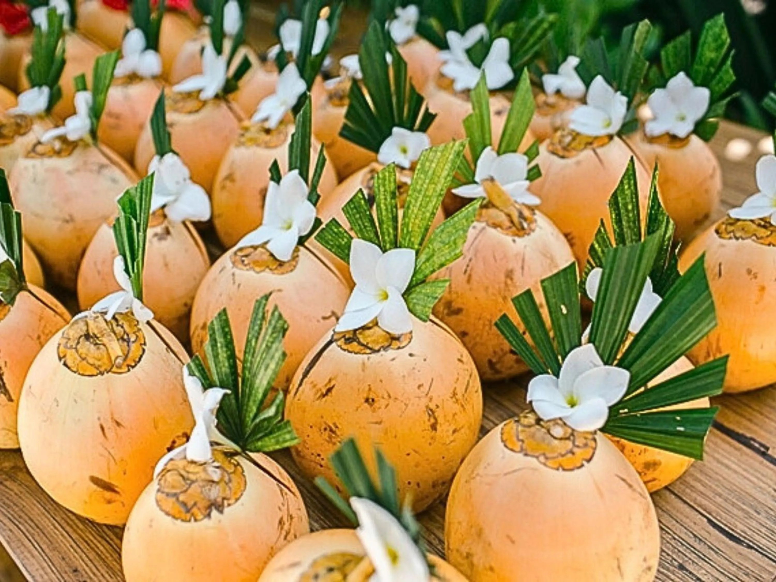 wedding in Antagana Retreat