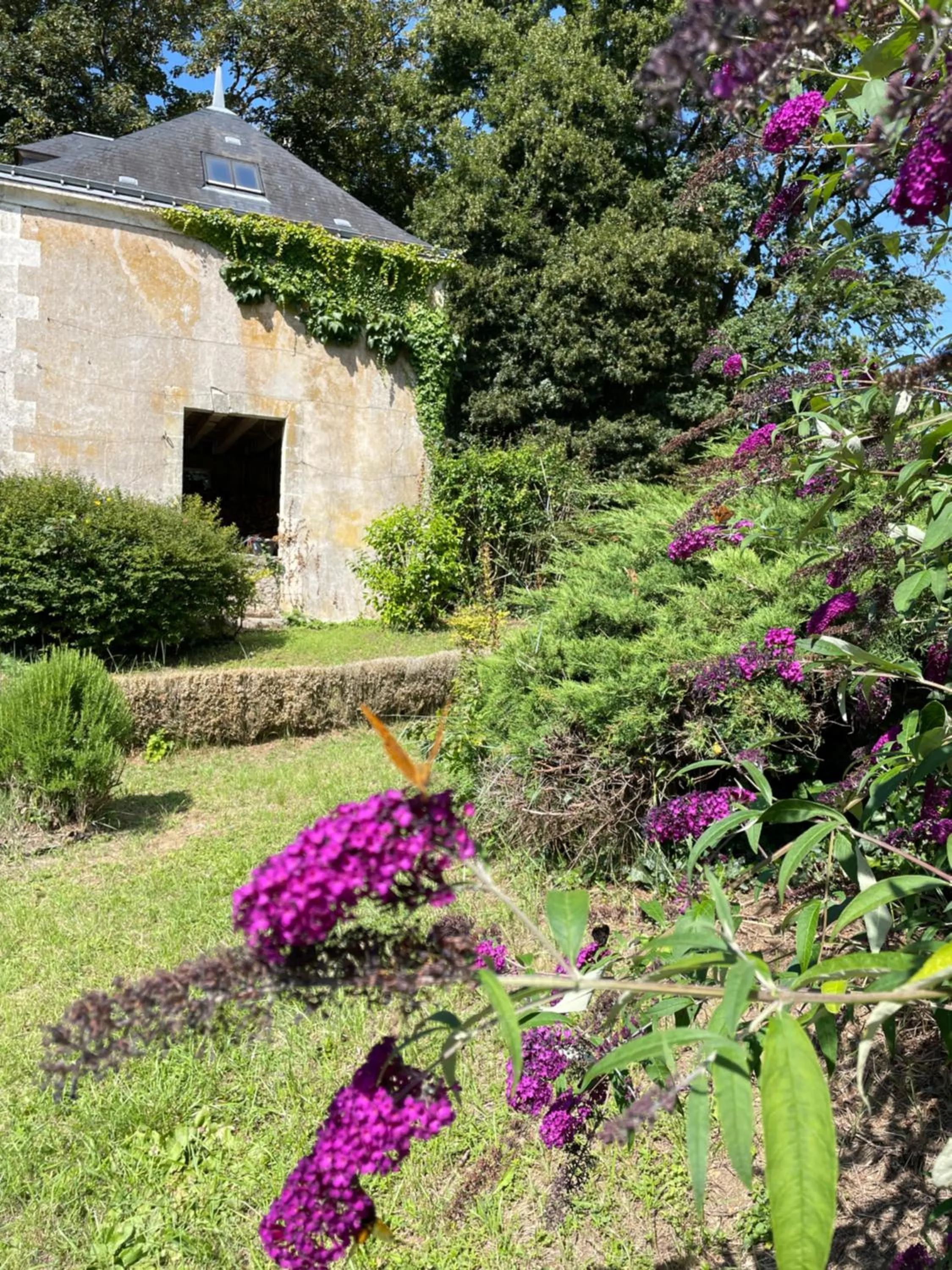 Garden in Château de la Huberdière