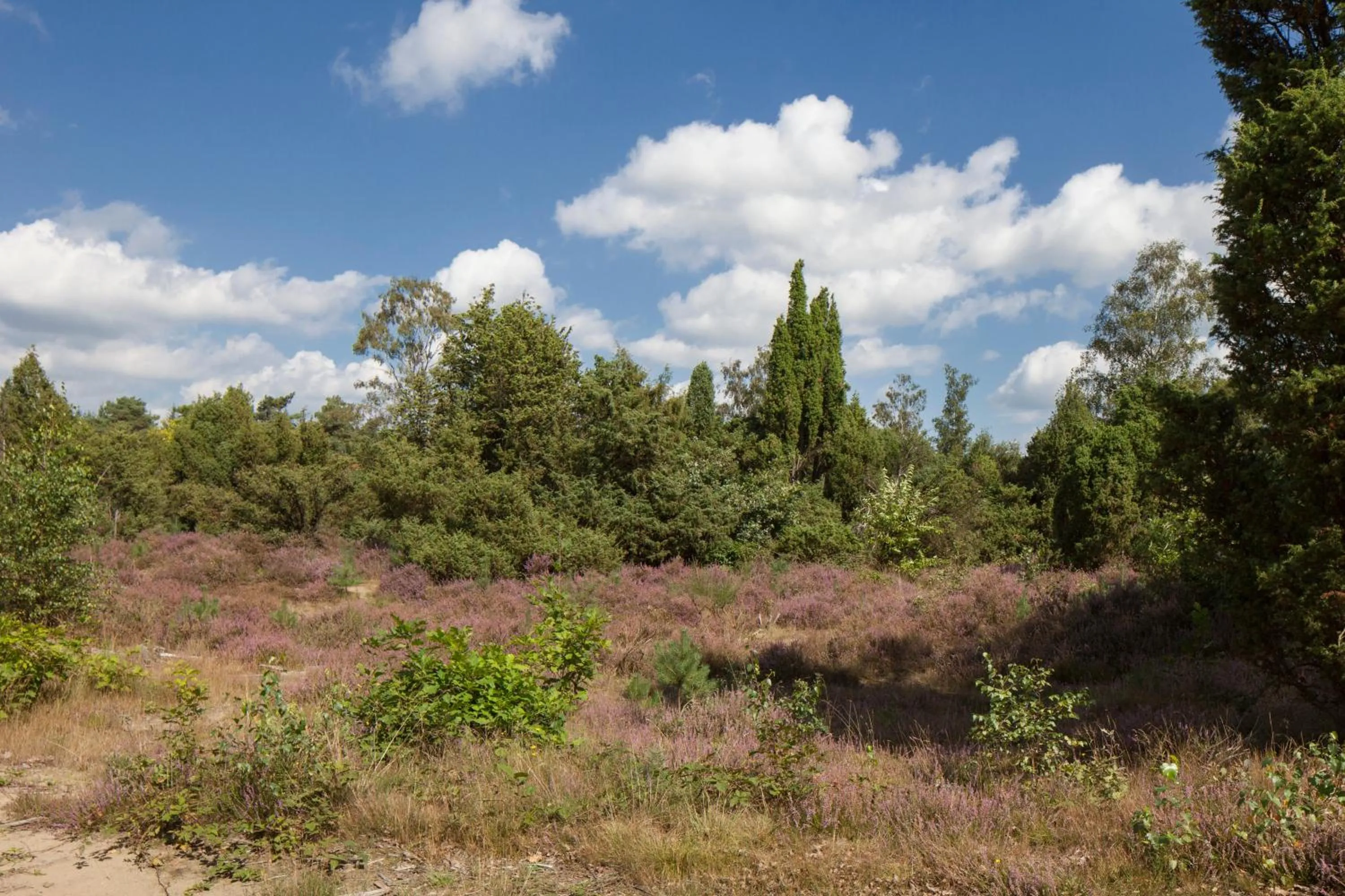 Area and facilities in Fletcher Hotel Restaurant Sallandse Heuvelrug