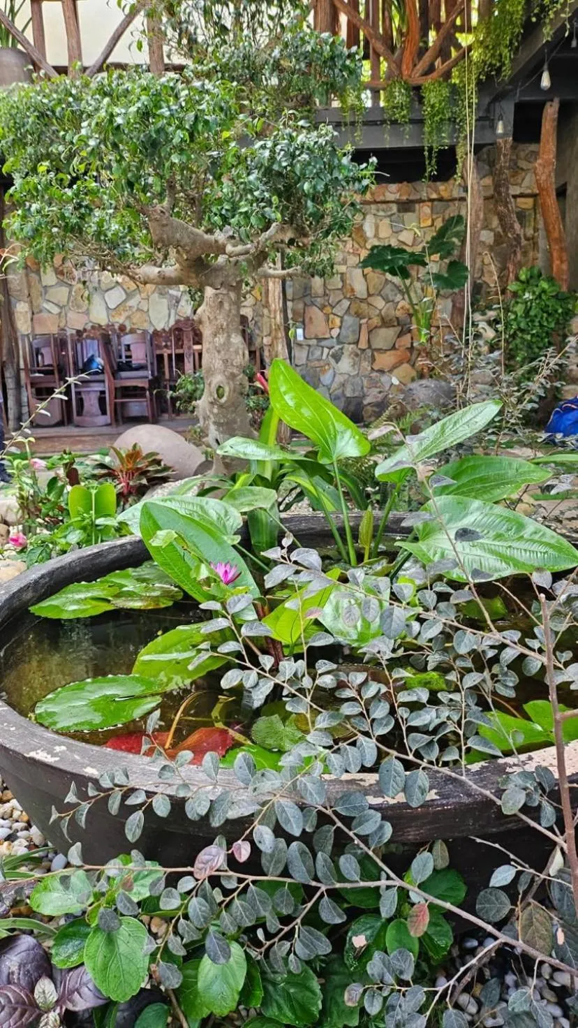 Winhouse An Bang Boutique Inn & Lounge