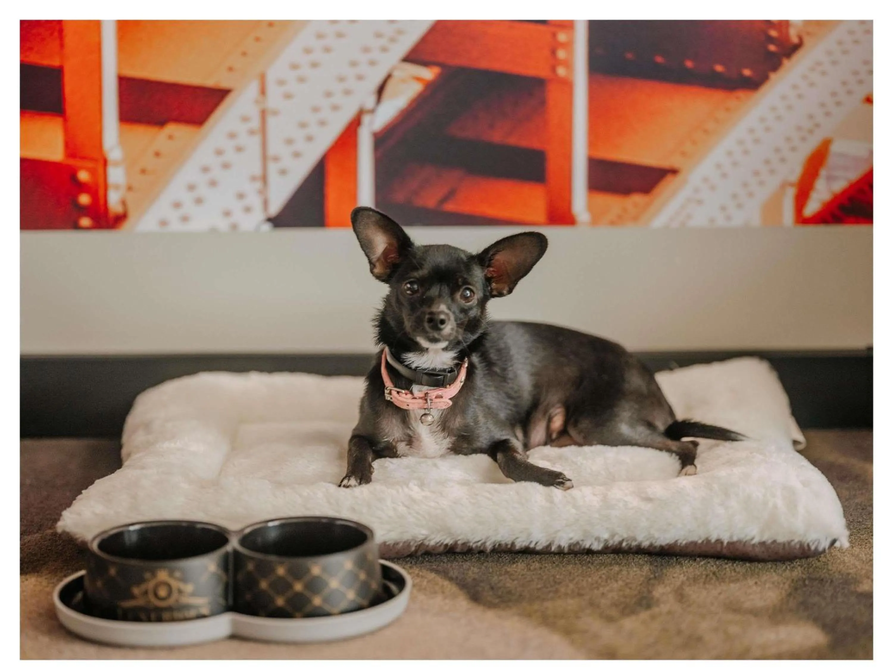 Bedroom in Novotel Paris Val de Fontenay