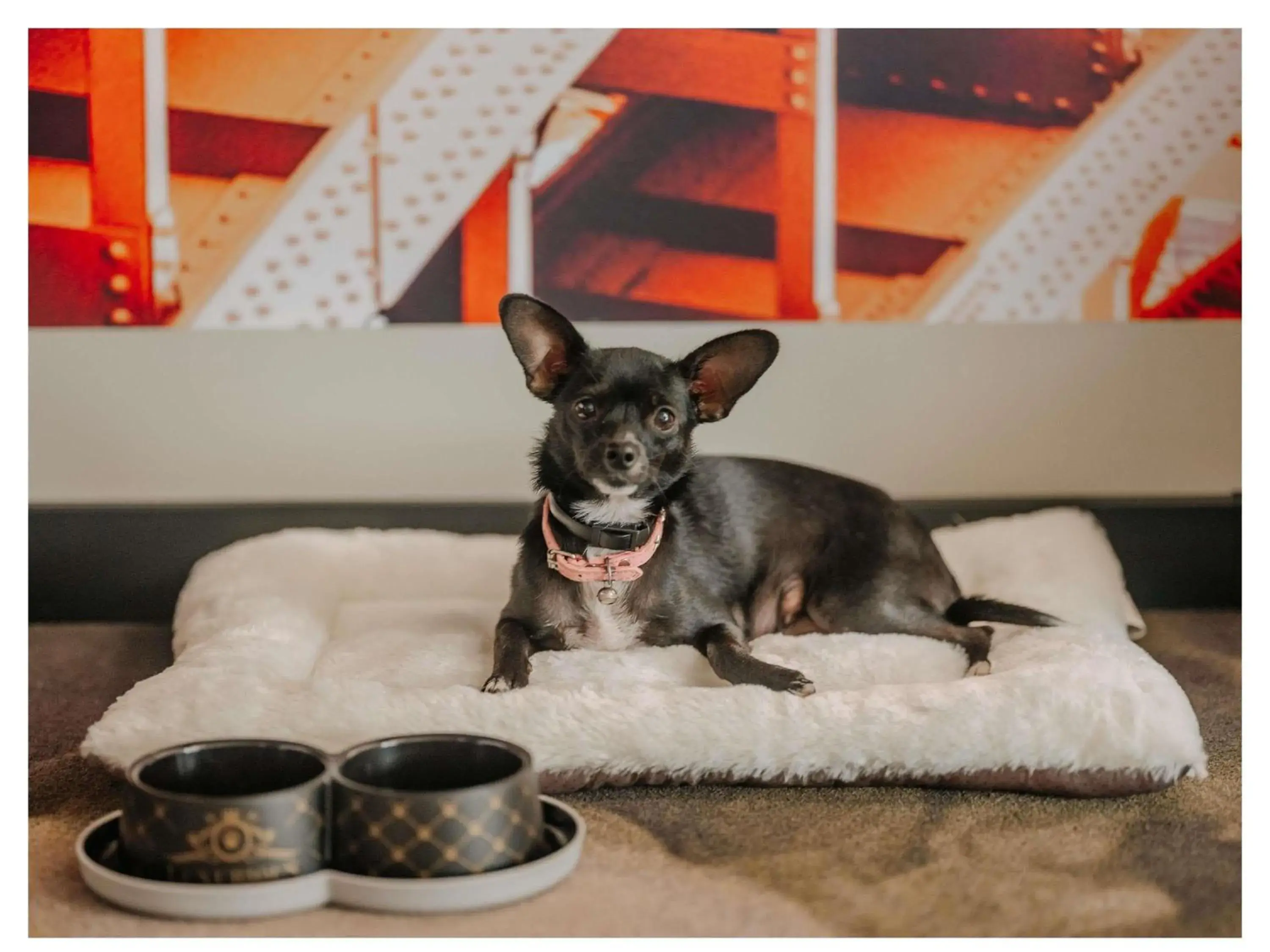 Standard Family Suite with Two Connecting Rooms in Novotel Paris Val de Fontenay Standard Family Suite with Two Connecting Rooms in Novotel Paris Val de Fontenay