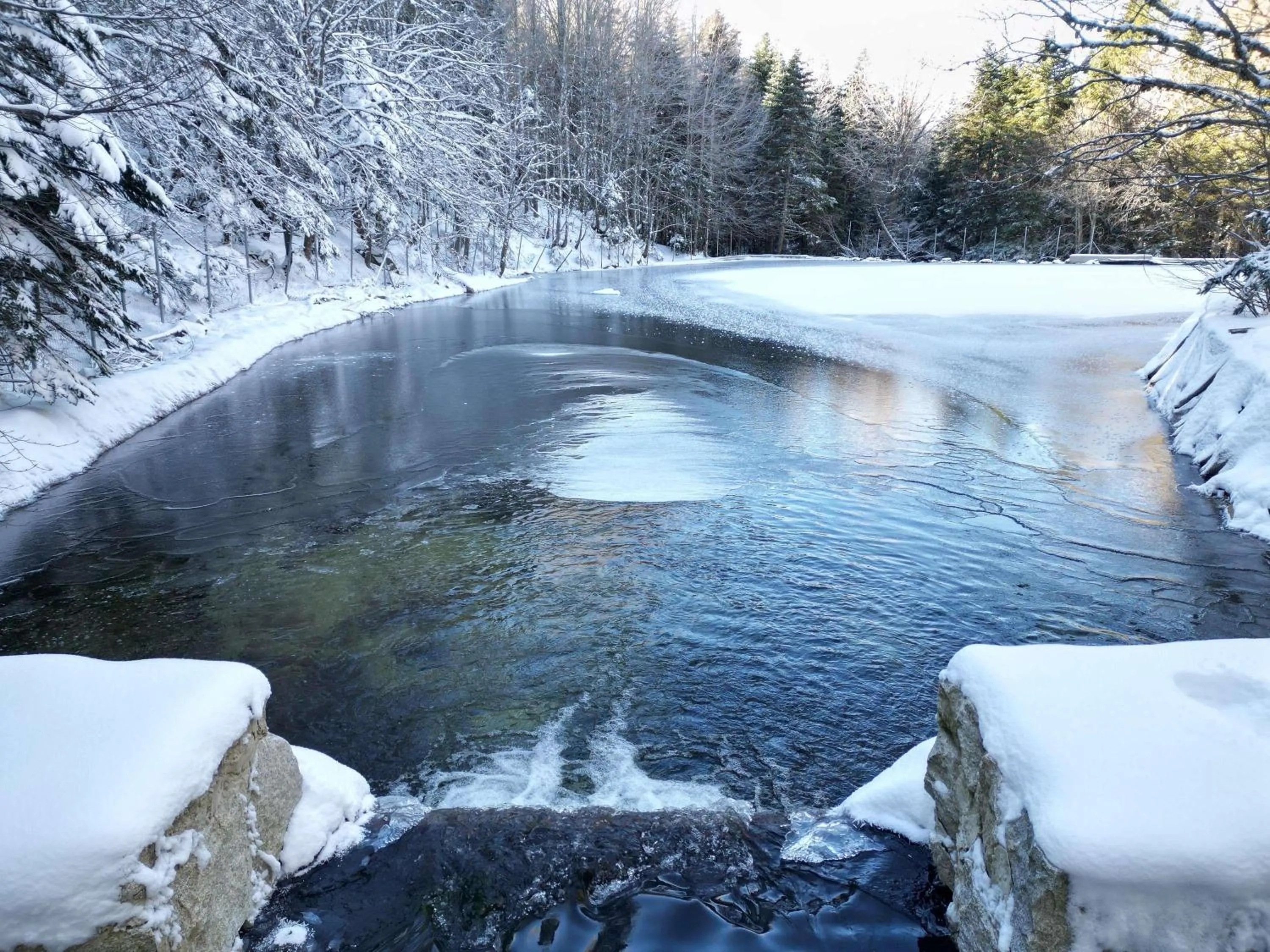 Other in Swissotel Uludag Bursa