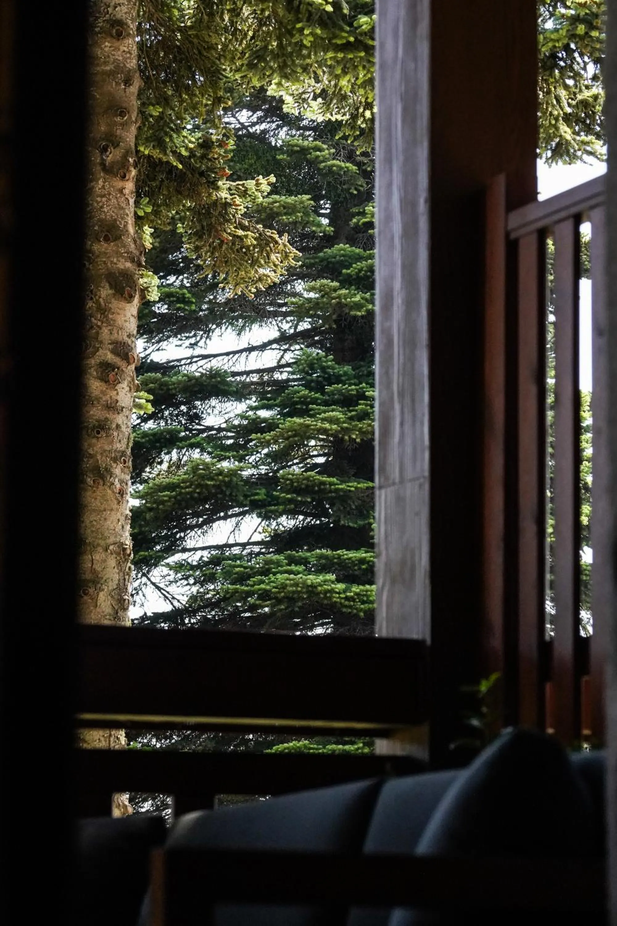 View (from property/room) in Swissotel Uludag Bursa