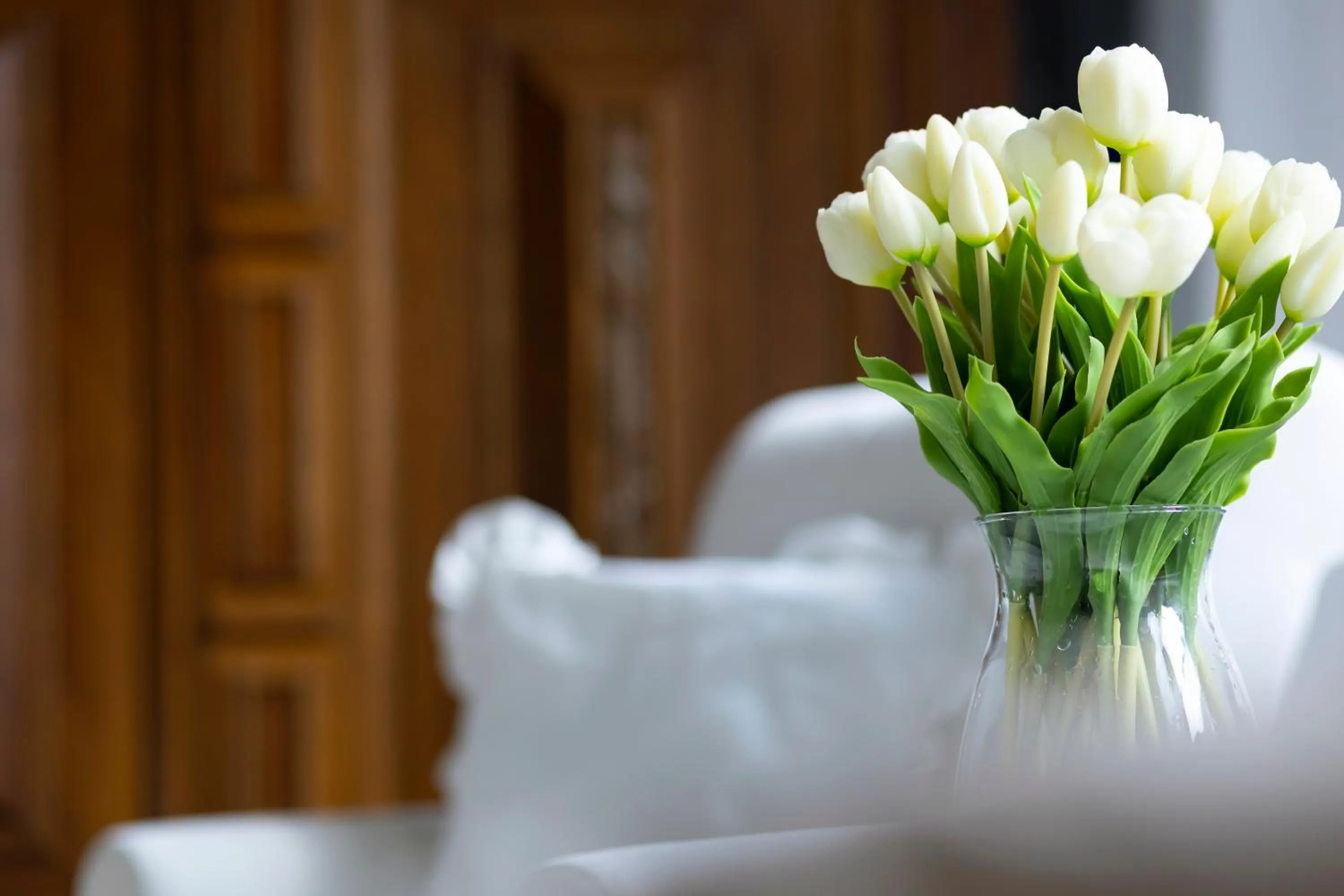 Elite Apartments Mariacka Premium