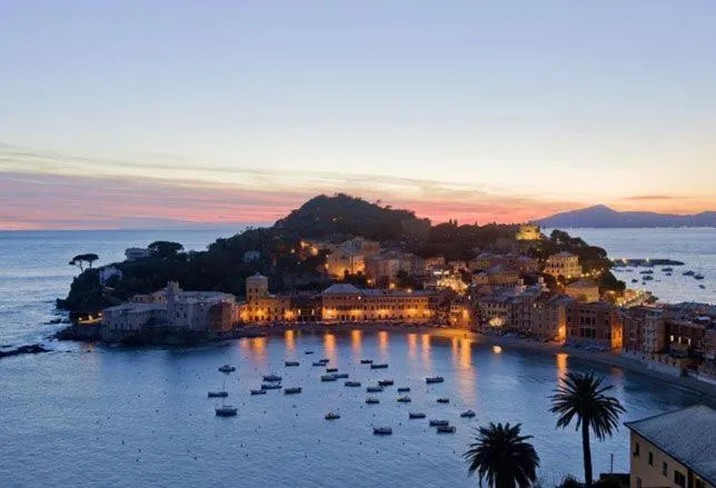 Al VIgneto