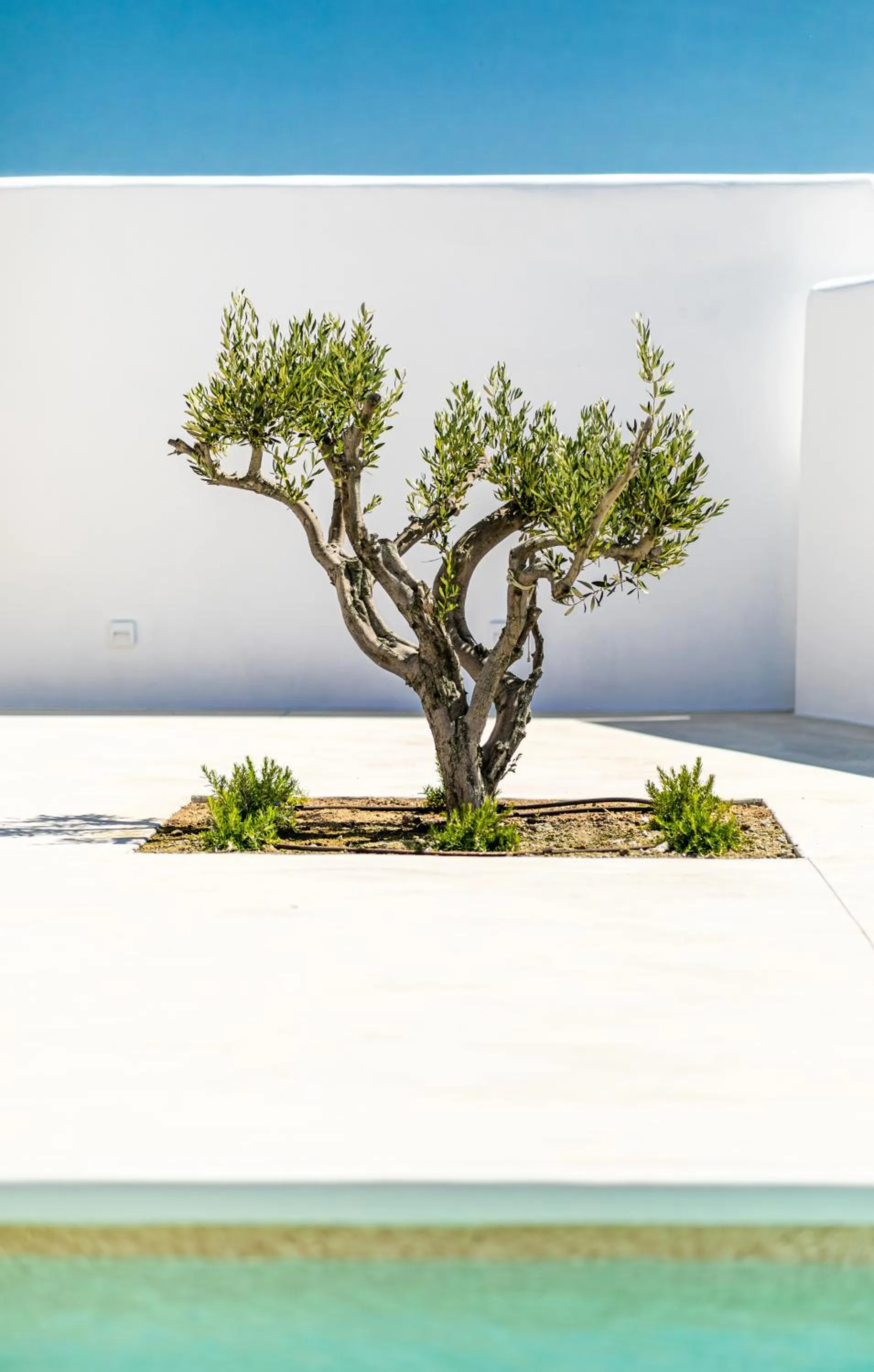 Petradia Villas
