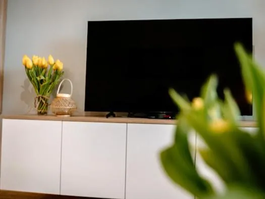 Bridge Apartments&Spa apartament LILKA
