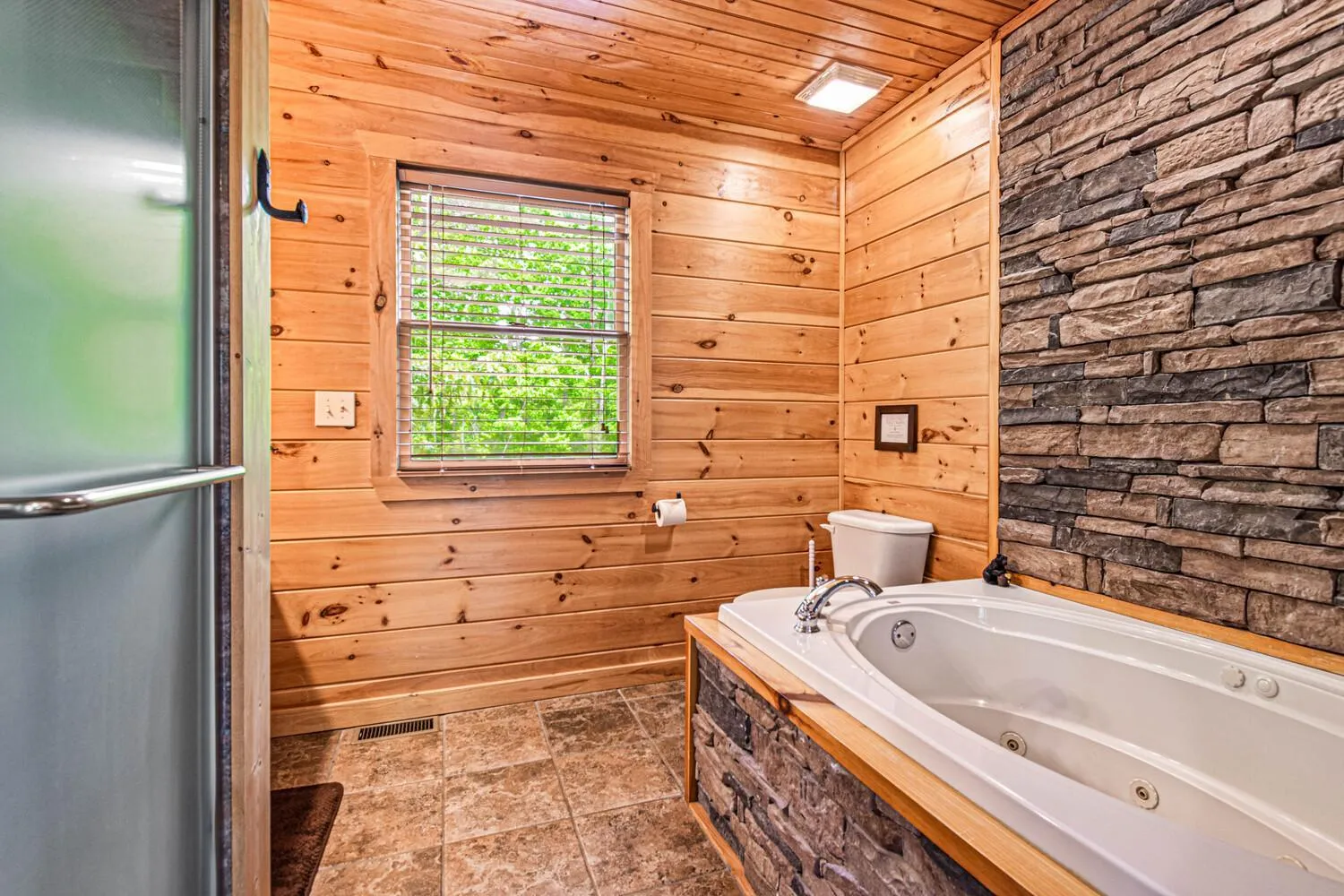Shower in Incredible Views! - Pet Friendly - Aska Adventure Area - Bearfoot Bungalow