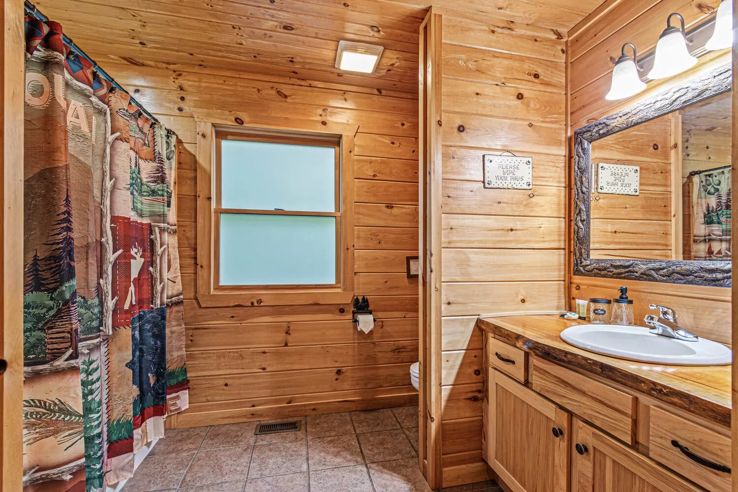 Shower in Incredible Views! - Pet Friendly - Aska Adventure Area - Bearfoot Bungalow