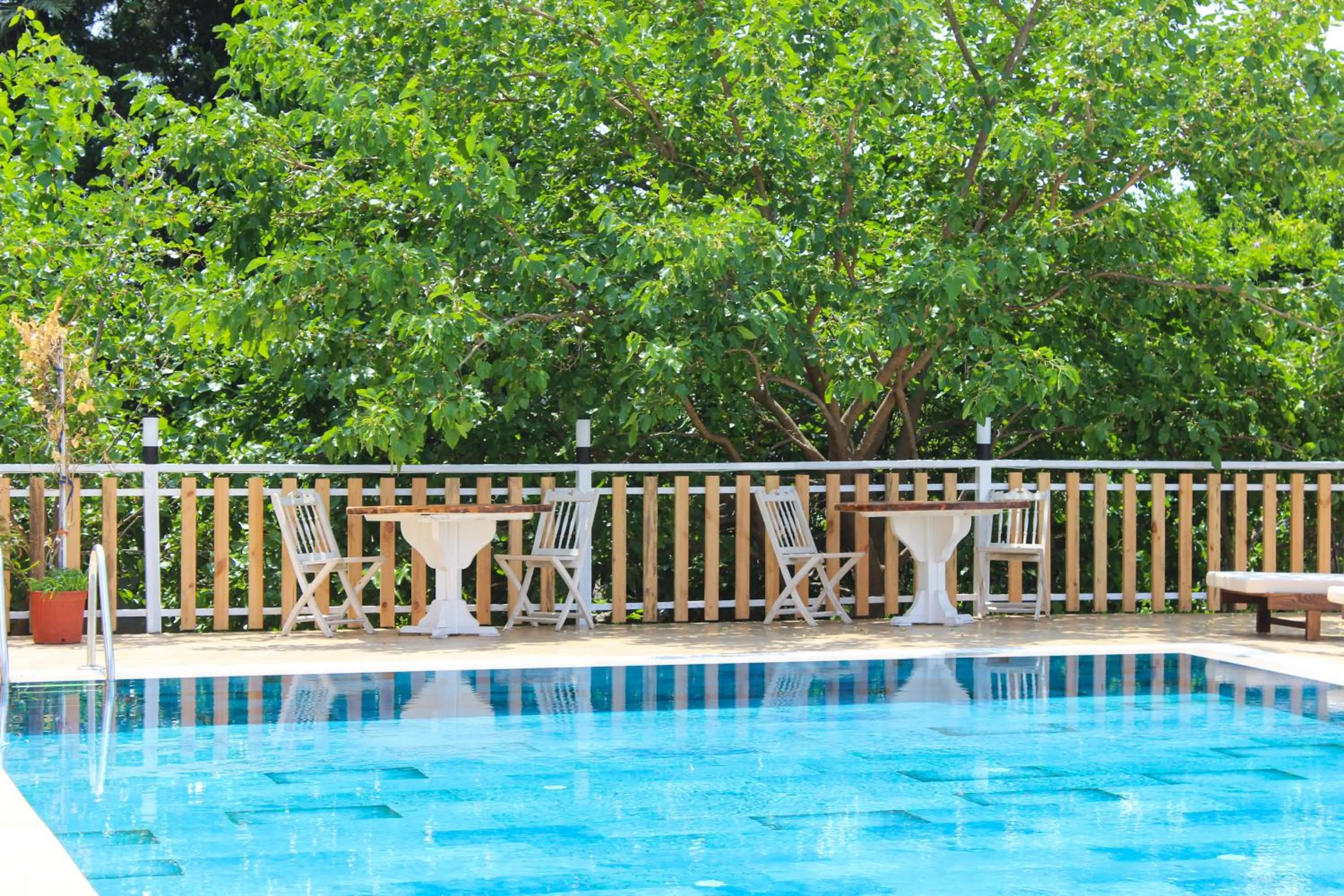 Swimming pool in The Roof Ada