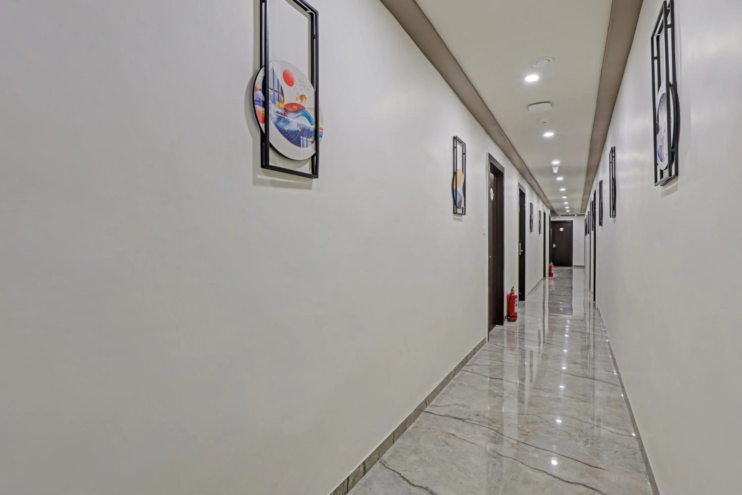 Other in Collection O Alpha One